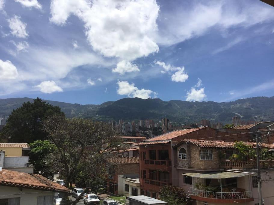 Vista Magnolia