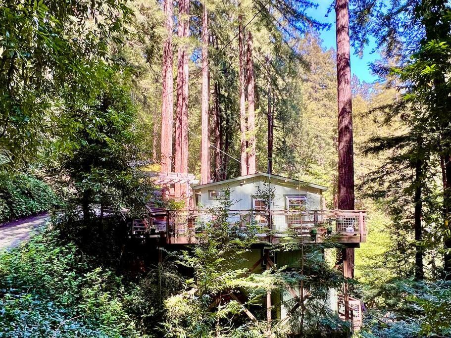 Cozy Cabin in Redwoods with Hot Tub