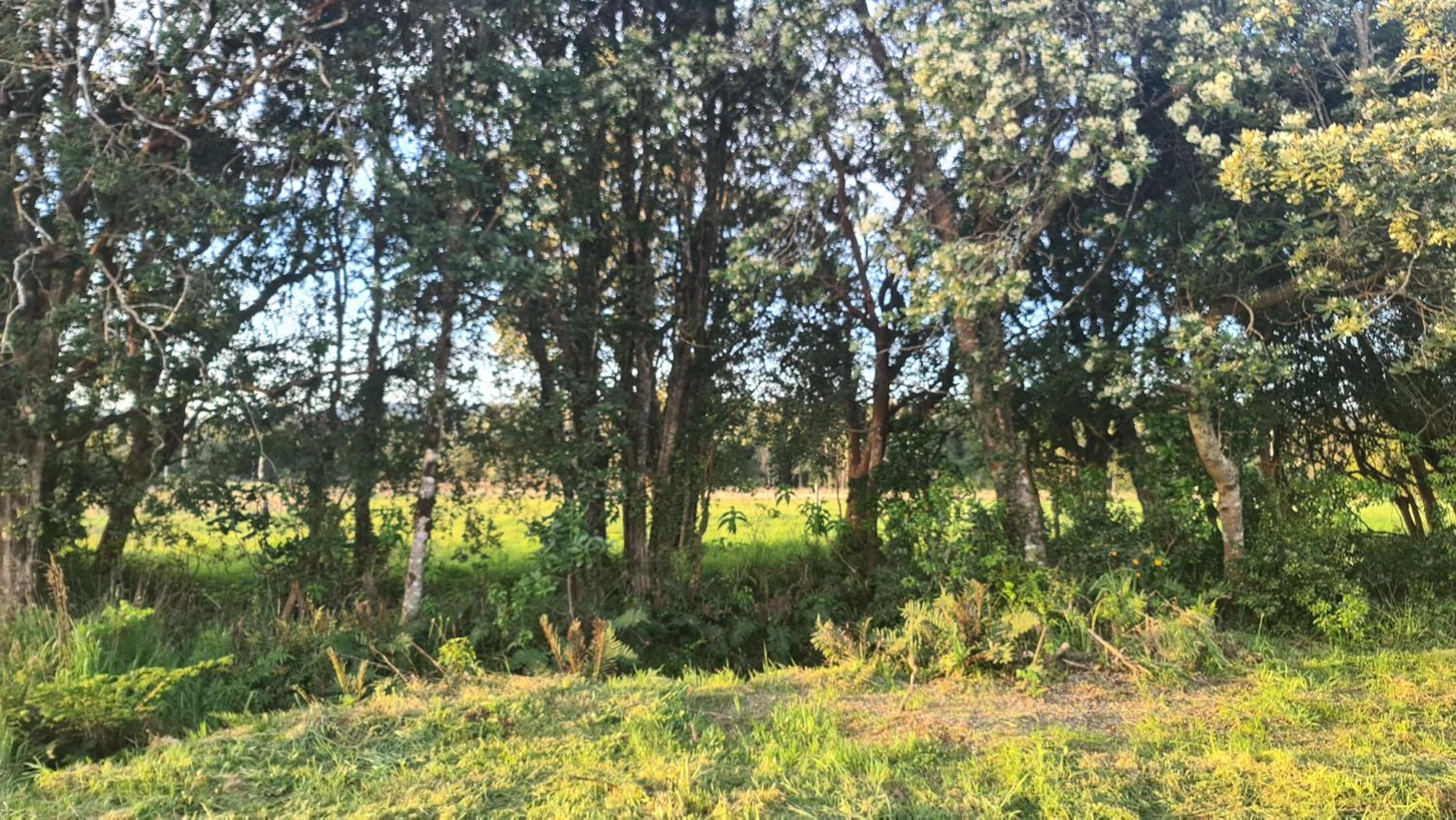 HERMOSA CASA rodeada DE NATURALEZA