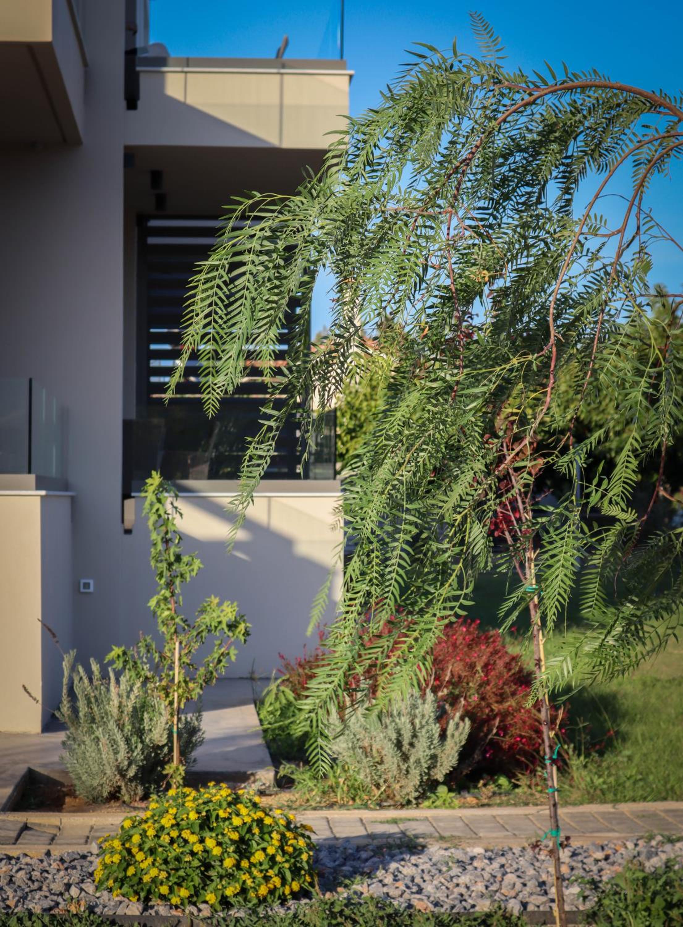 Almyres Luxurious Residences