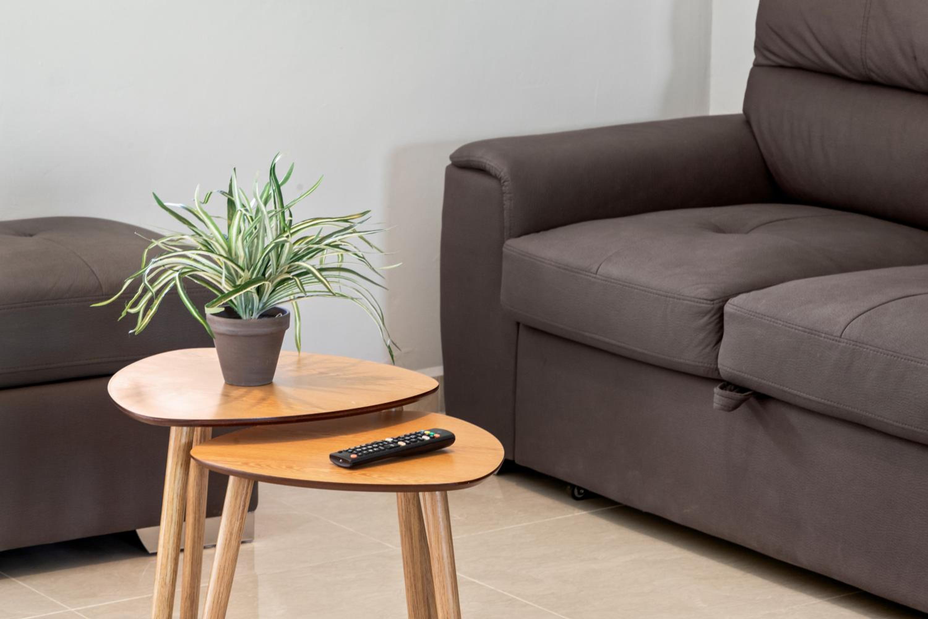 Curadise Living