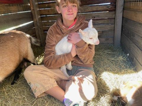 Palestine Vacations - Glampsite 6 at the Bok Vegas Interactive Petting Zoo - Property Image 14