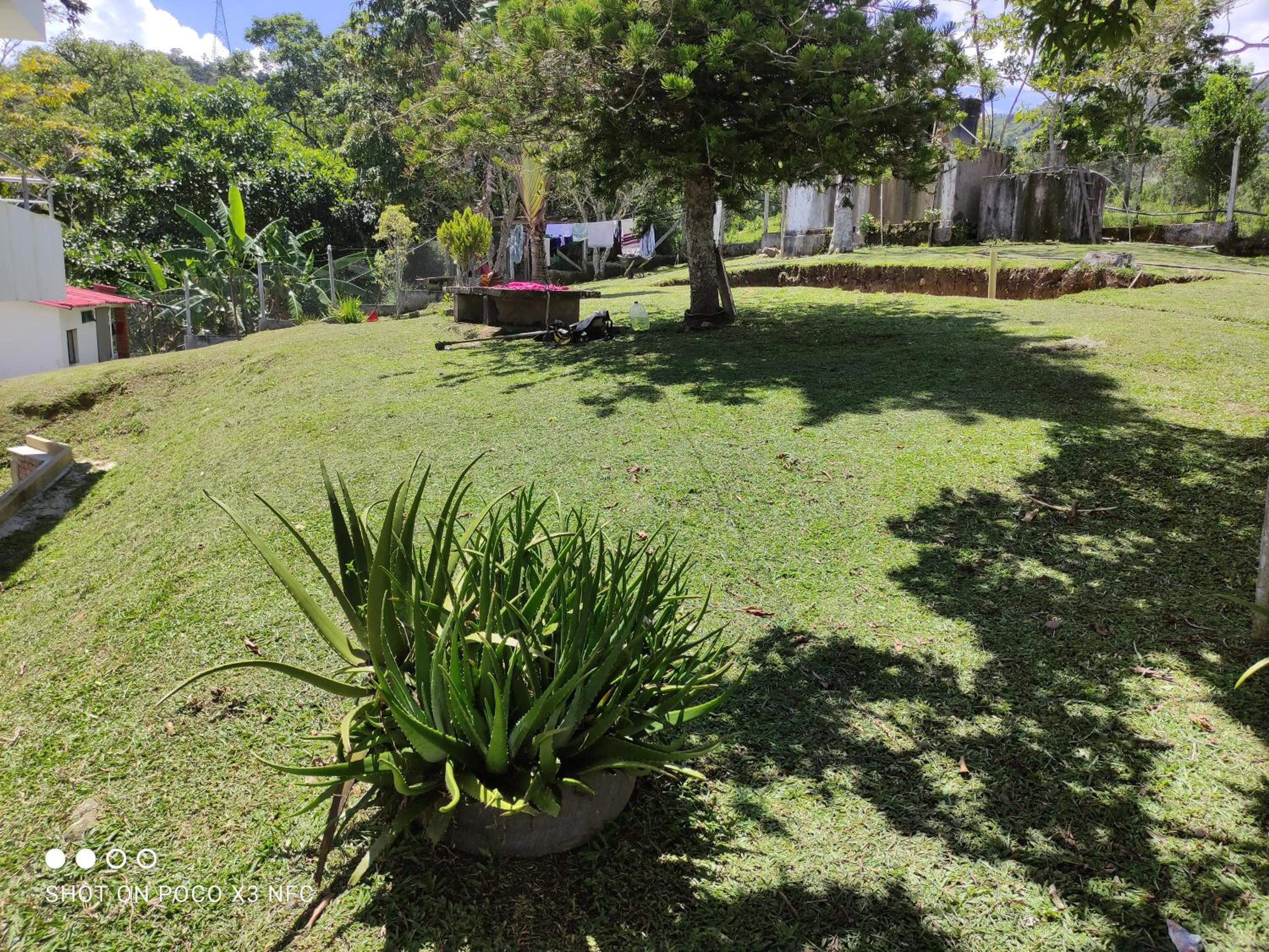 Guadalupe