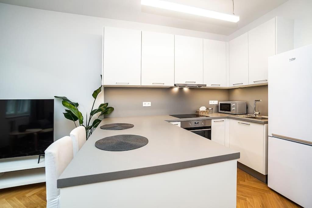 Amazing two-bedroom with Terrace