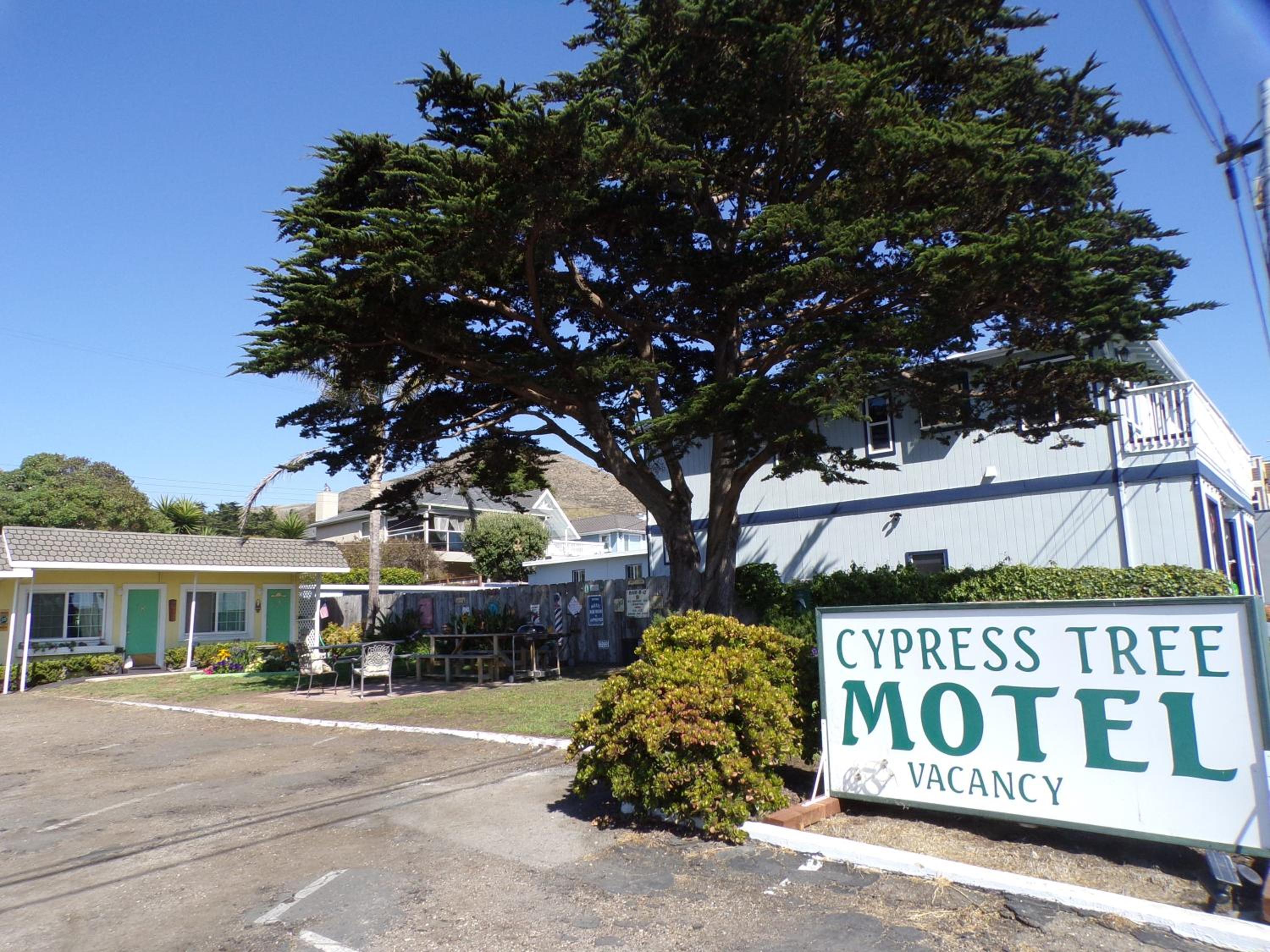 Cypress Tree Motel view 2
