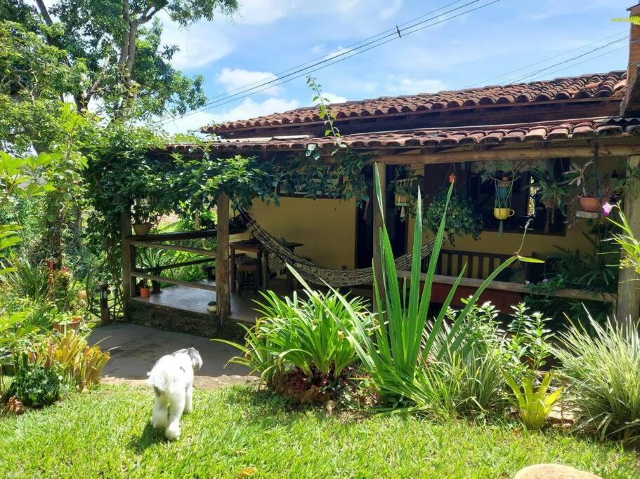 Diamantina, Curralinho Extração