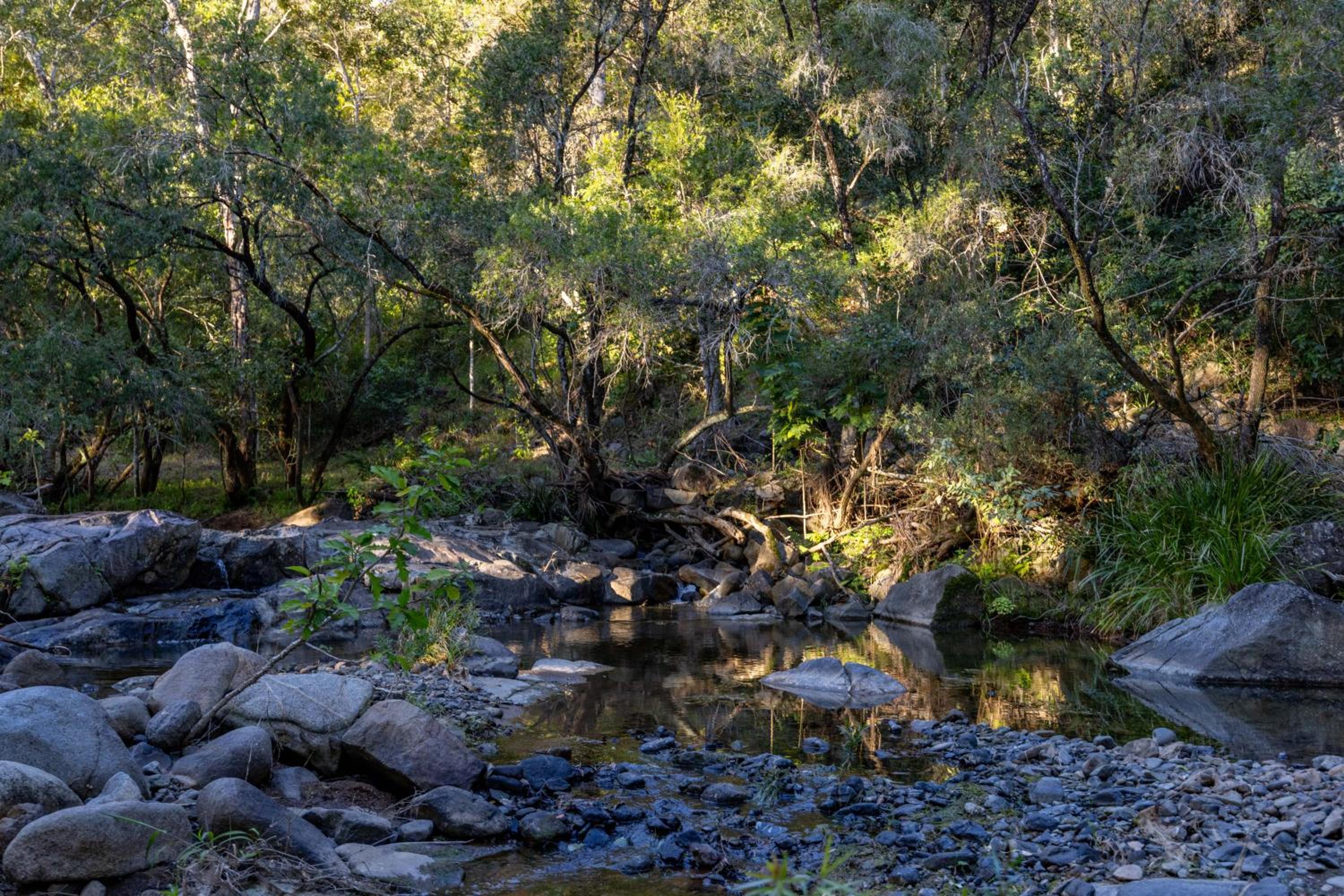 Bellbird Rise Off-Grid Cottage