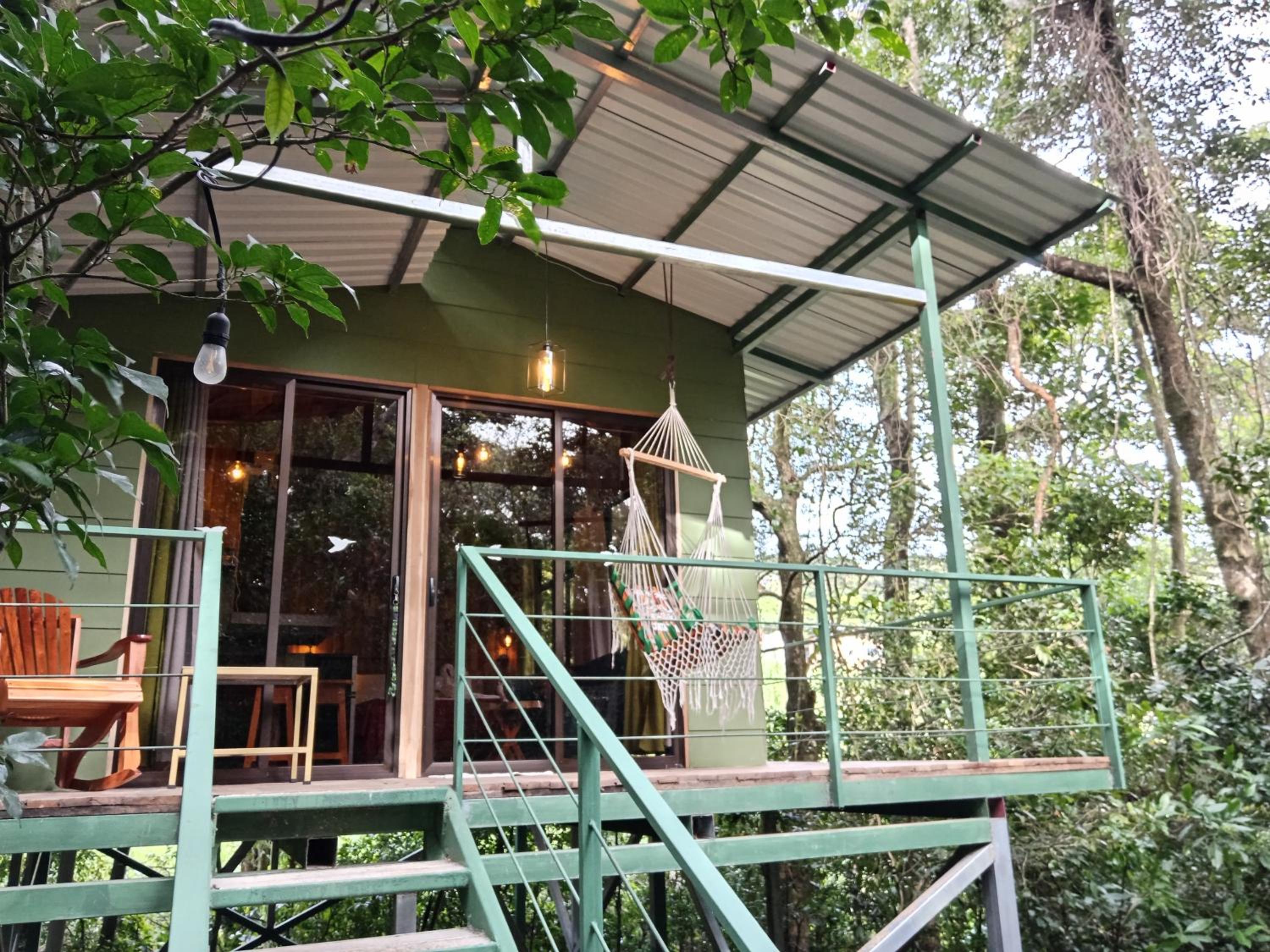 Jungle Living Tree Houses