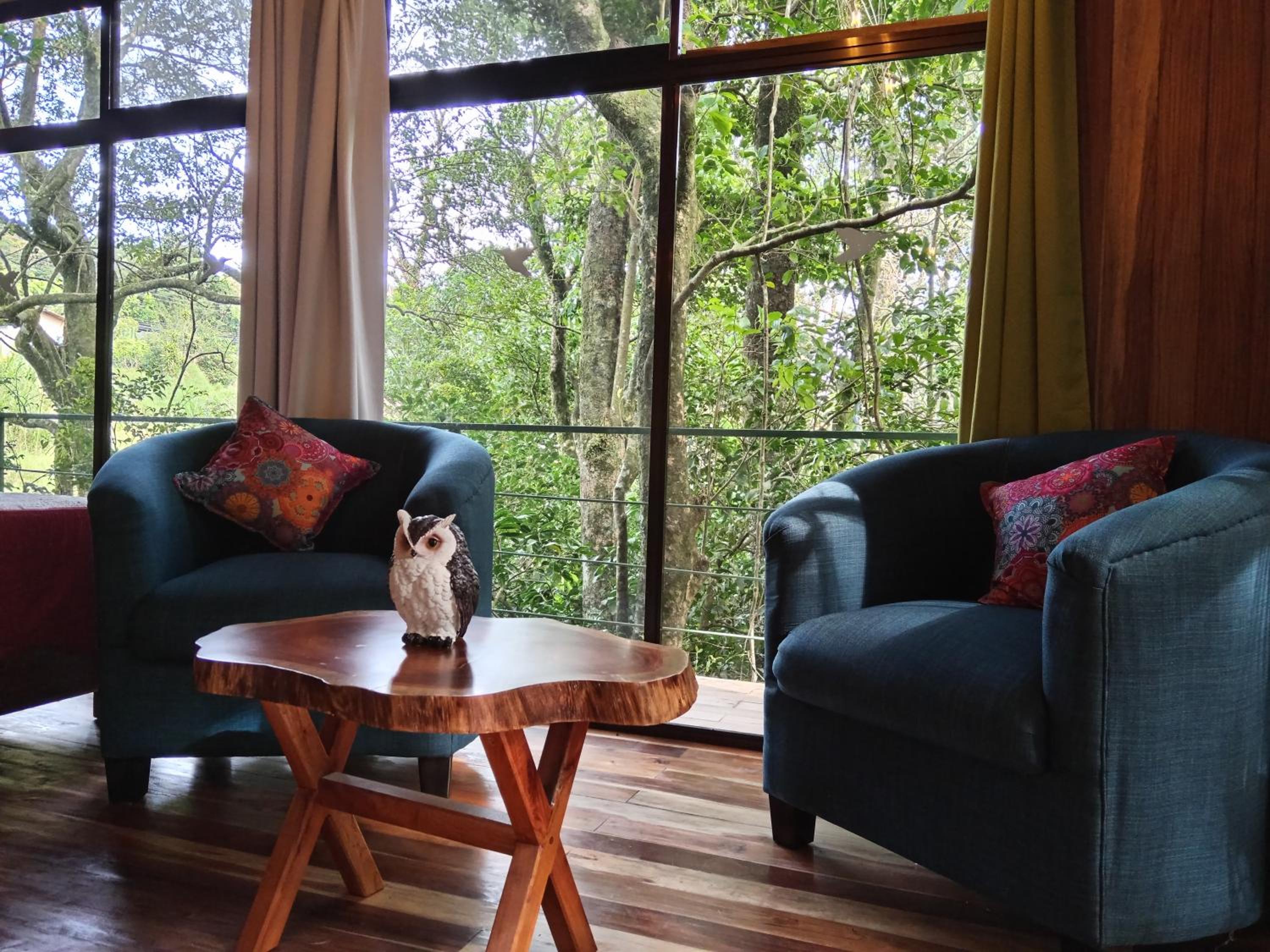 Jungle Living Tree Houses