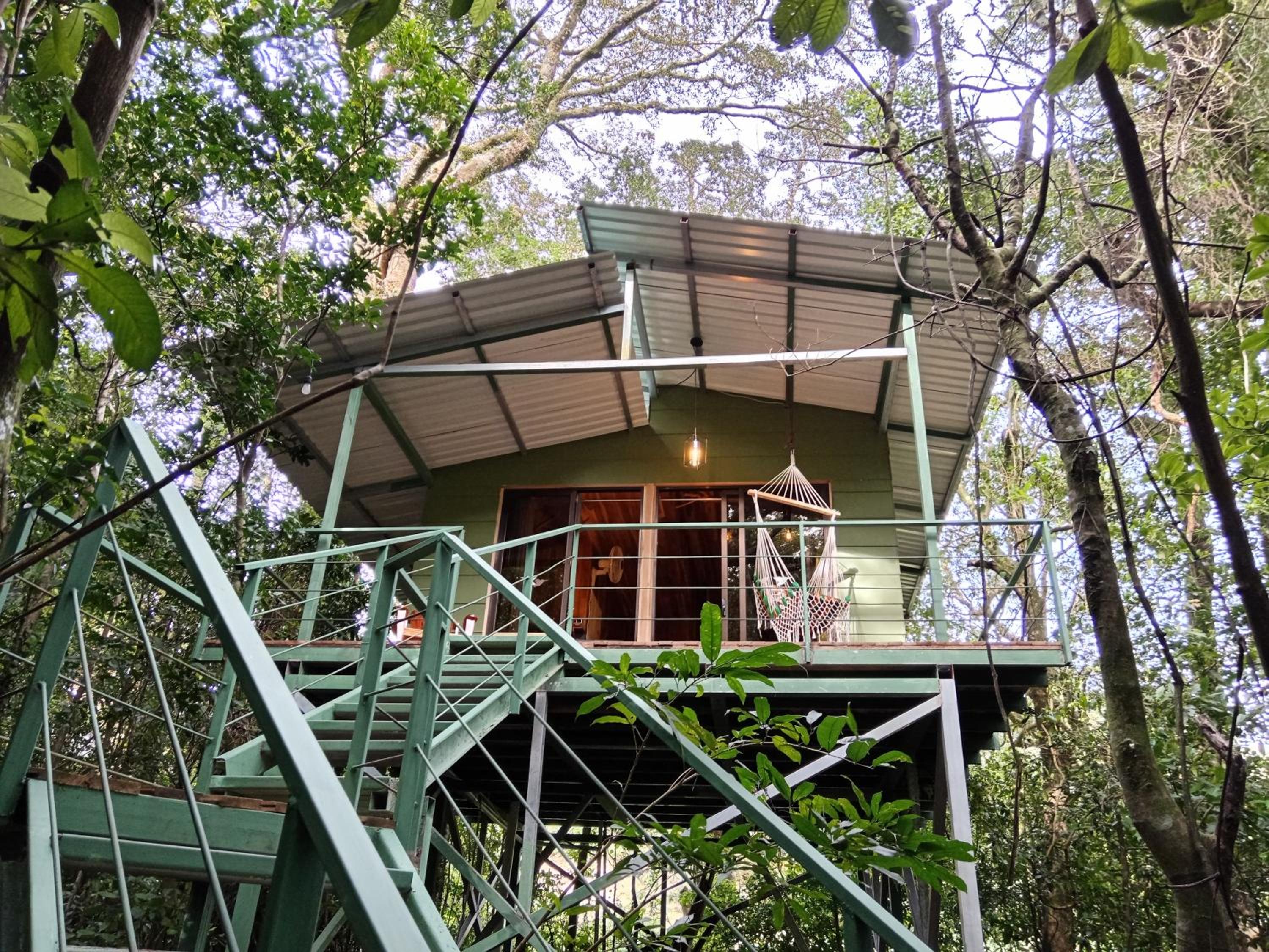 Jungle Living Tree Houses