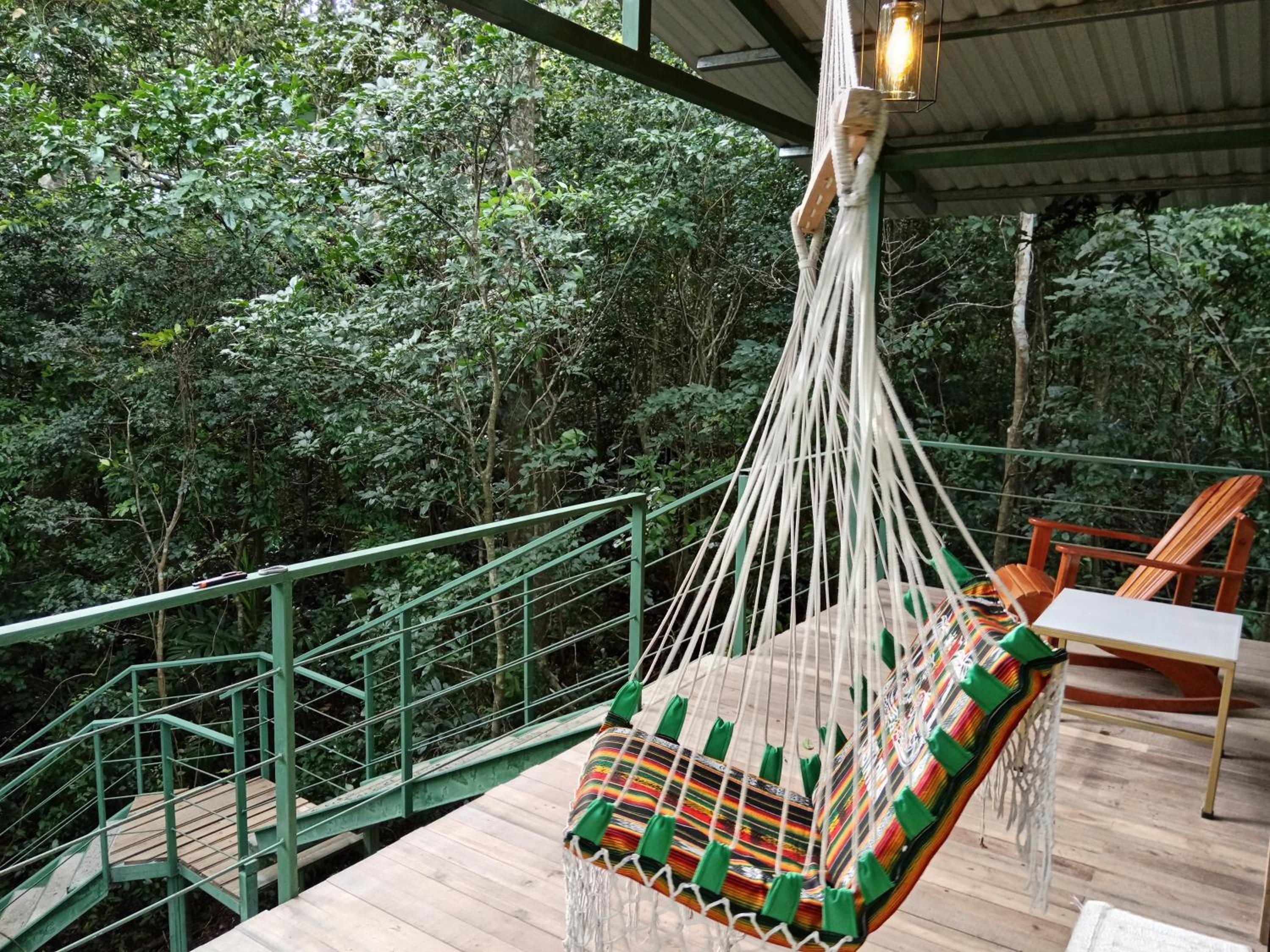 Jungle Living Tree Houses