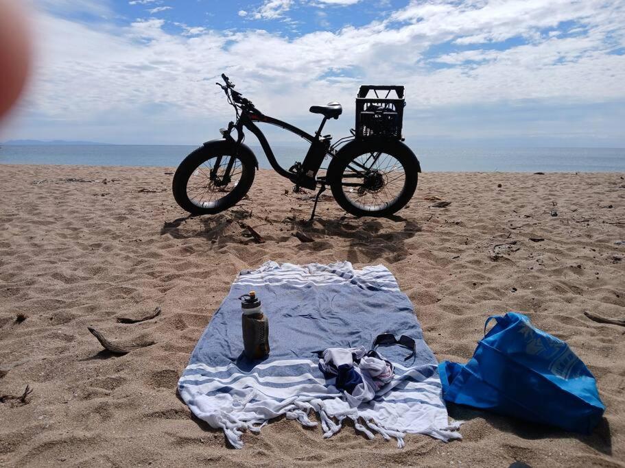 Rosalita, Picnic Bay