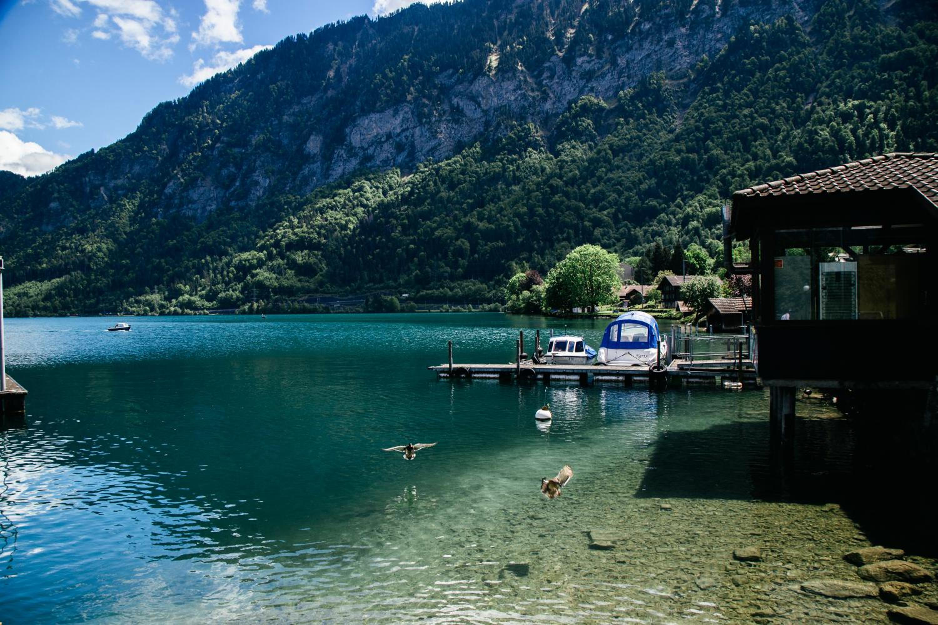 Au Bord Du Lac