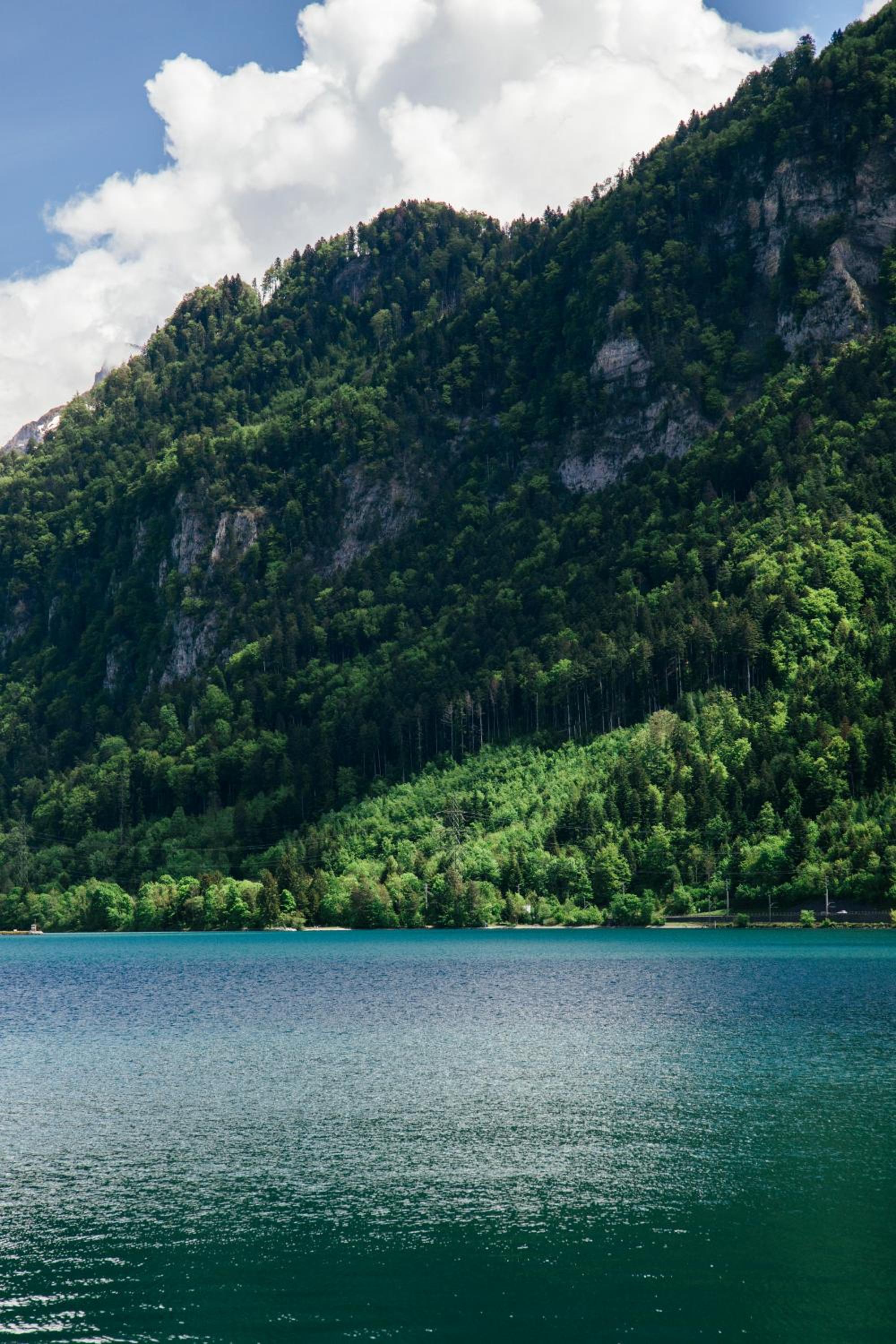 Au Bord Du Lac