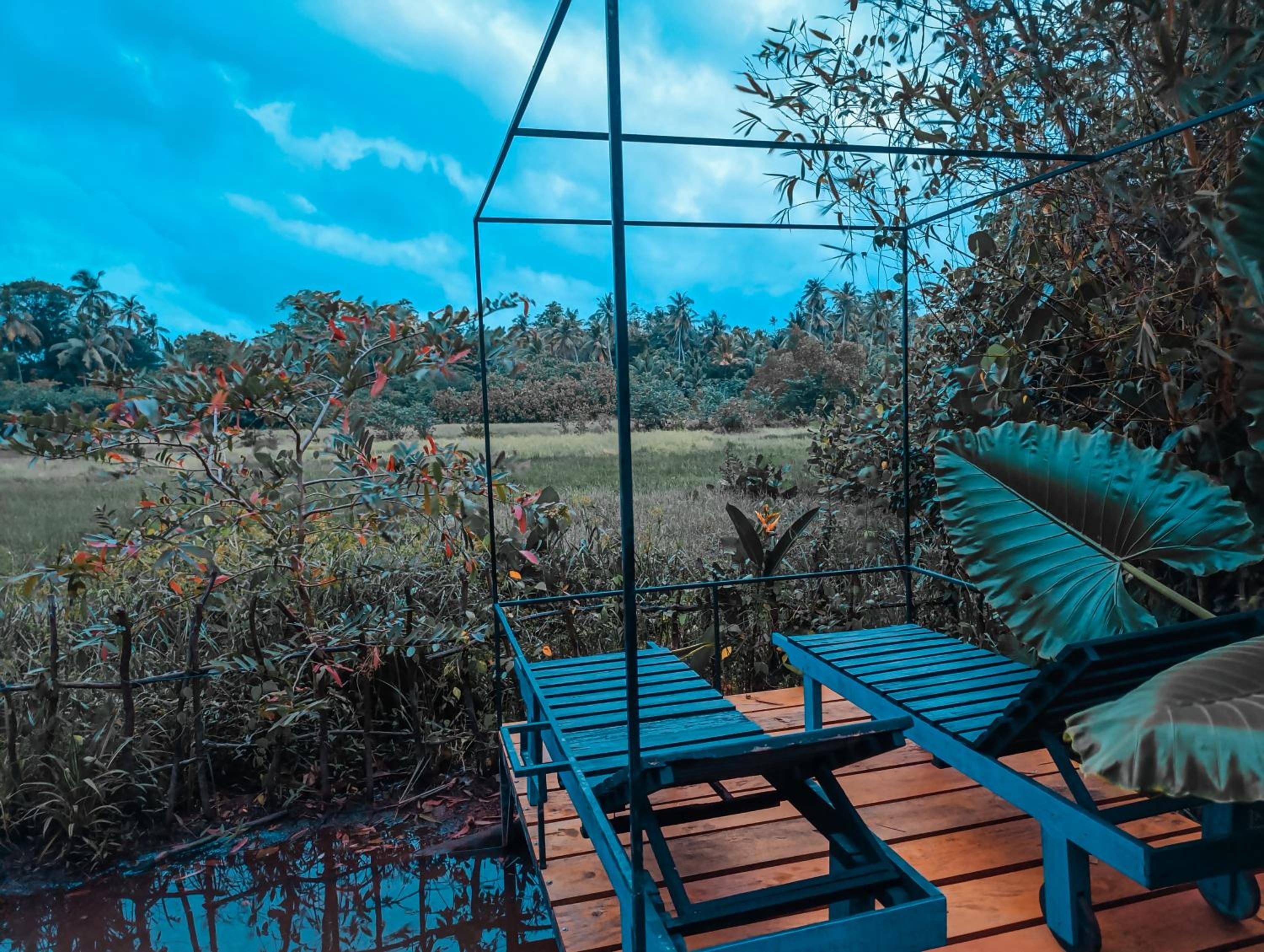 The WE2 - Wildwood Elegance Escape view 3