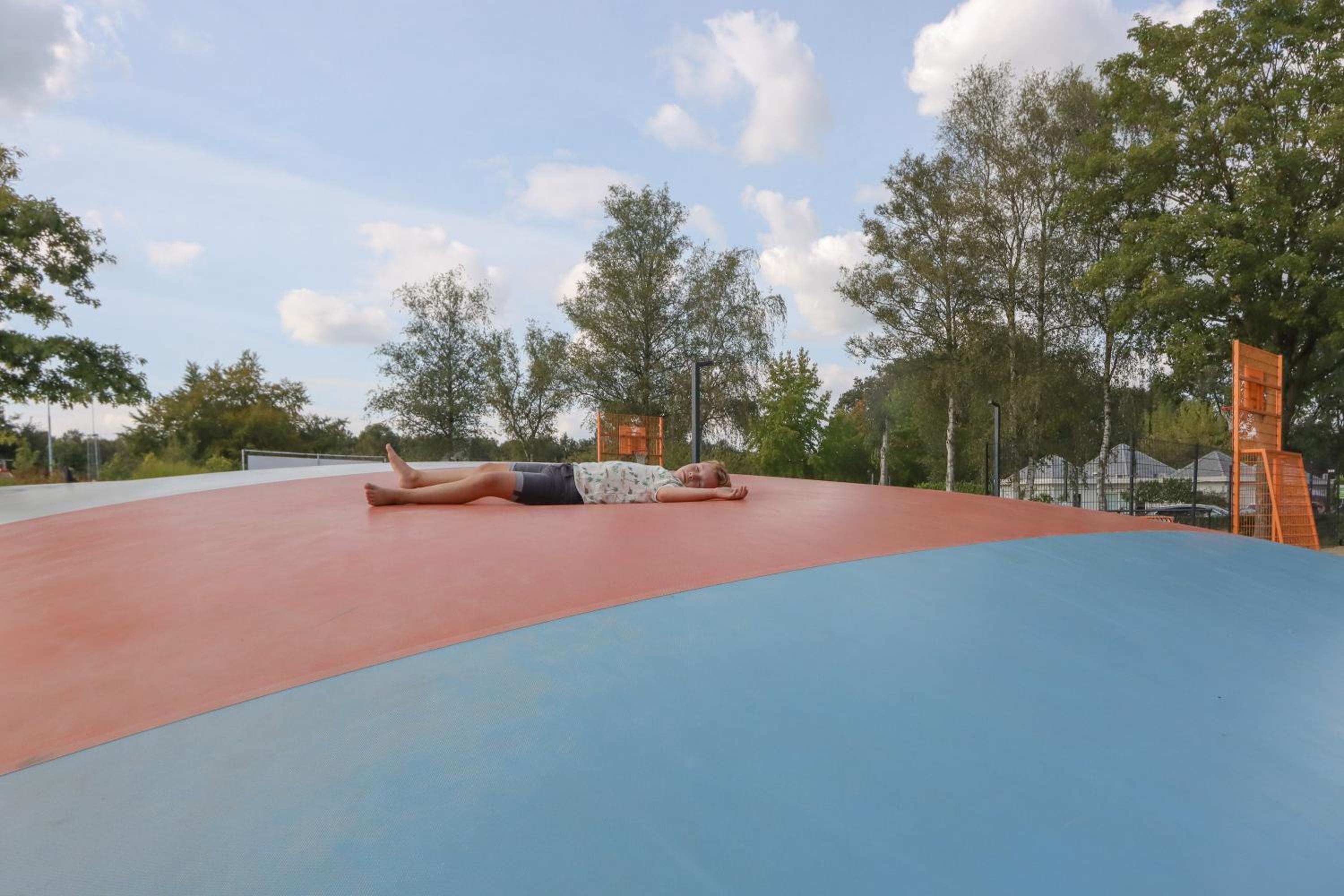 Wellness Chalet Veluwemeer