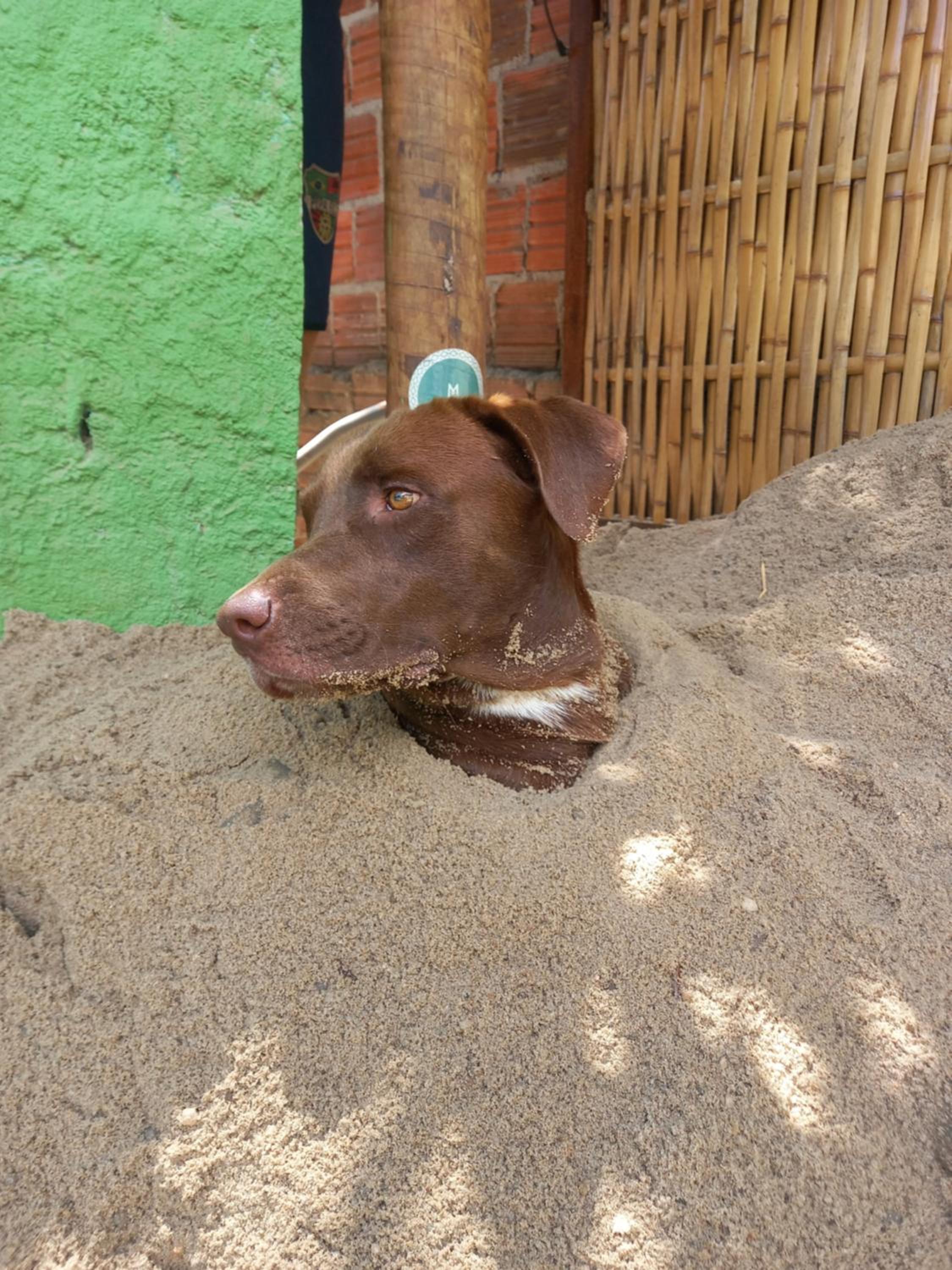Mapu