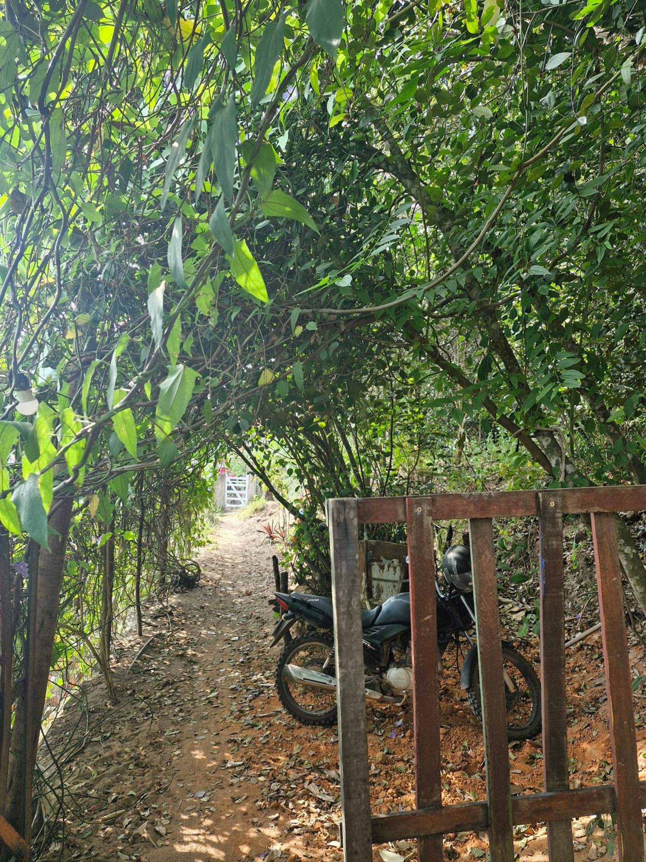 Mapu