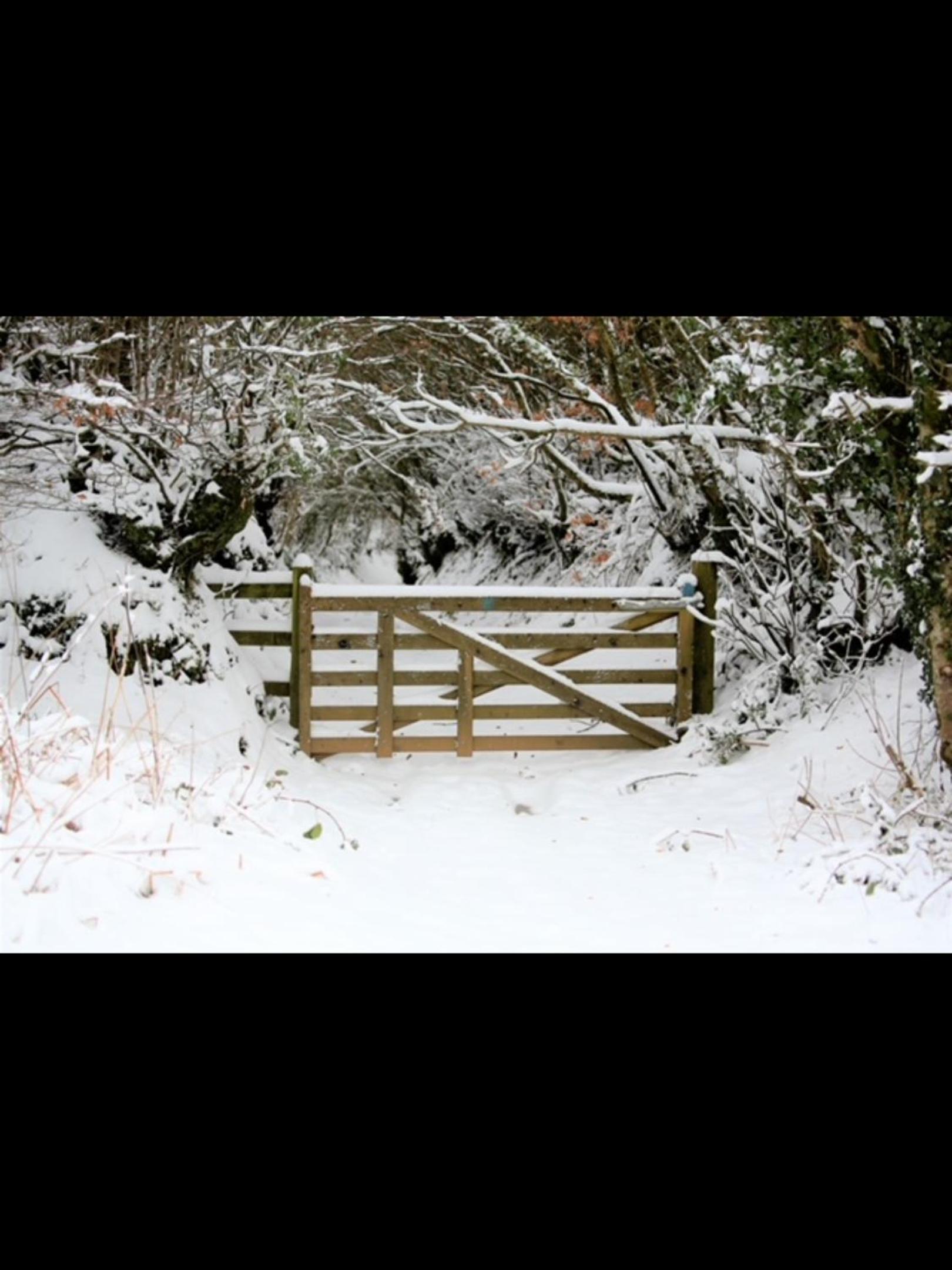 Snowdrop Lodge