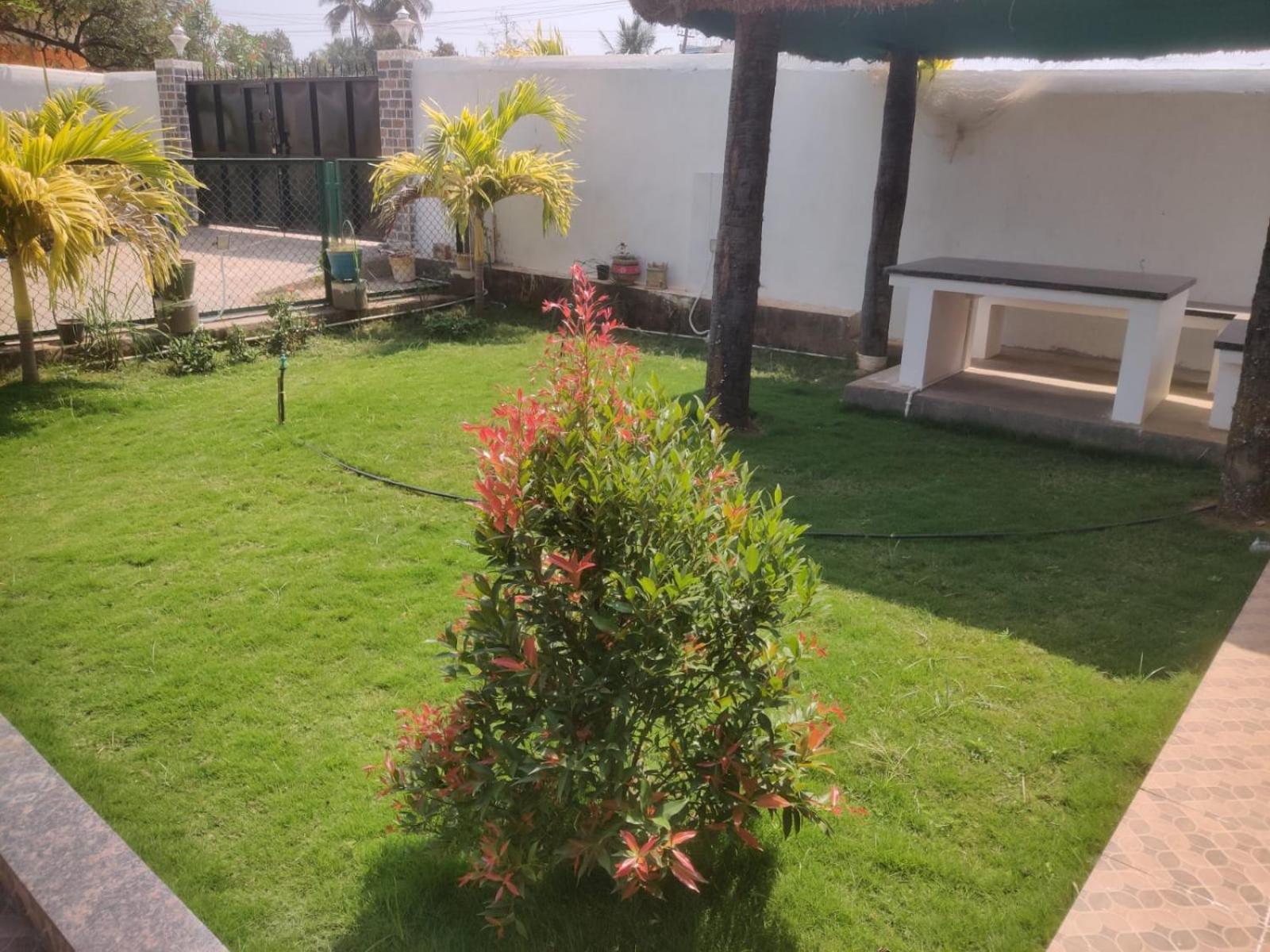 Photo 19