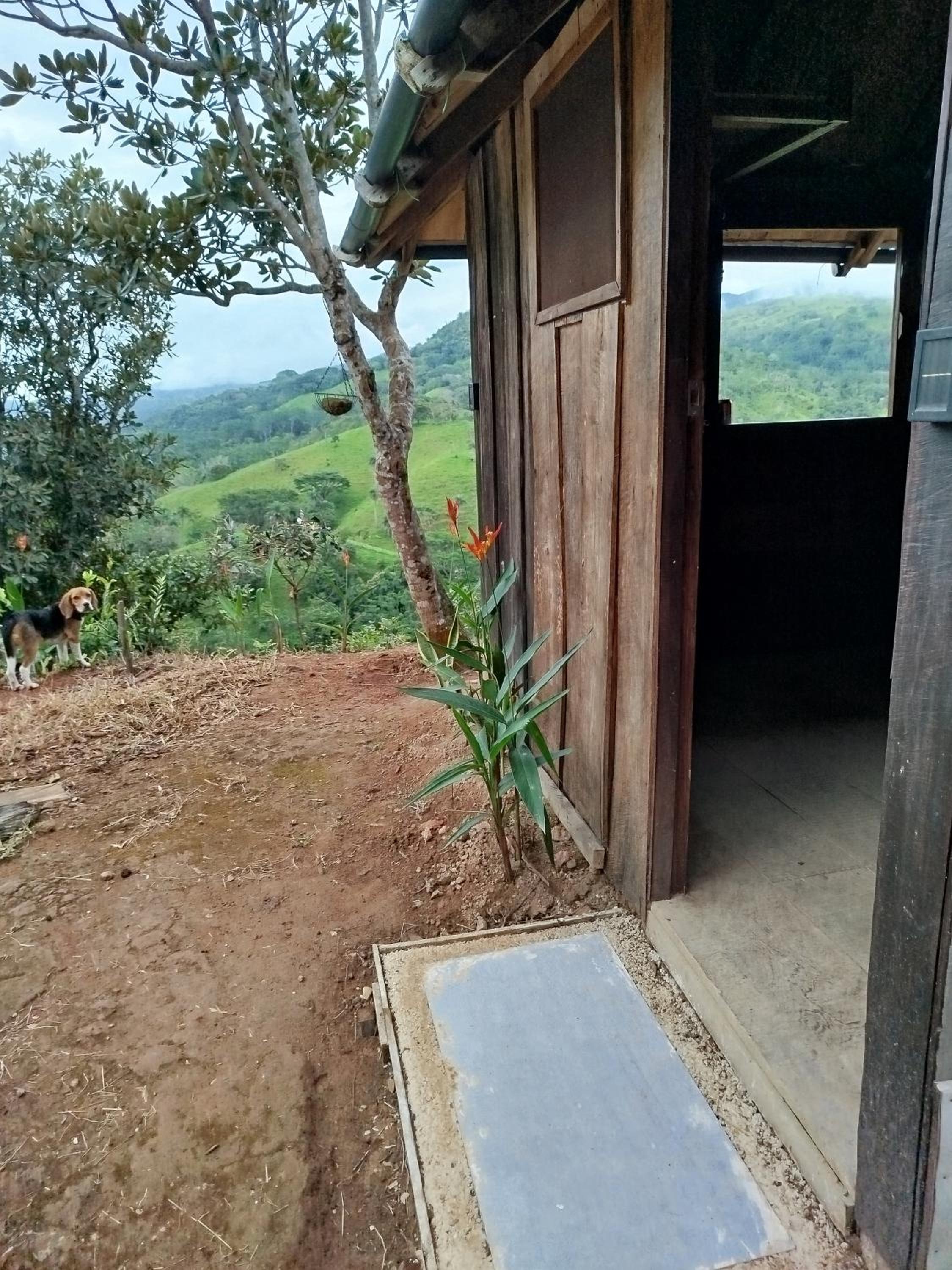 Sustainable, Off-Grid and Organic Cabins on a Farm in a Secluded Cloud Forest, Ultra Low Carbon Footprint, 4x4