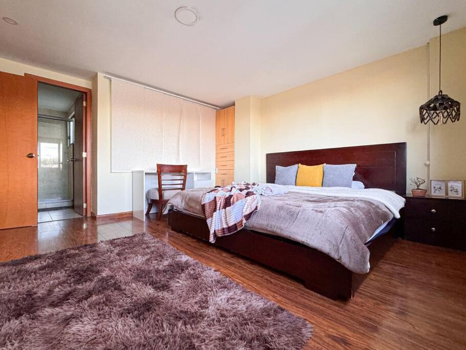 Splendid Apartment city center with garage