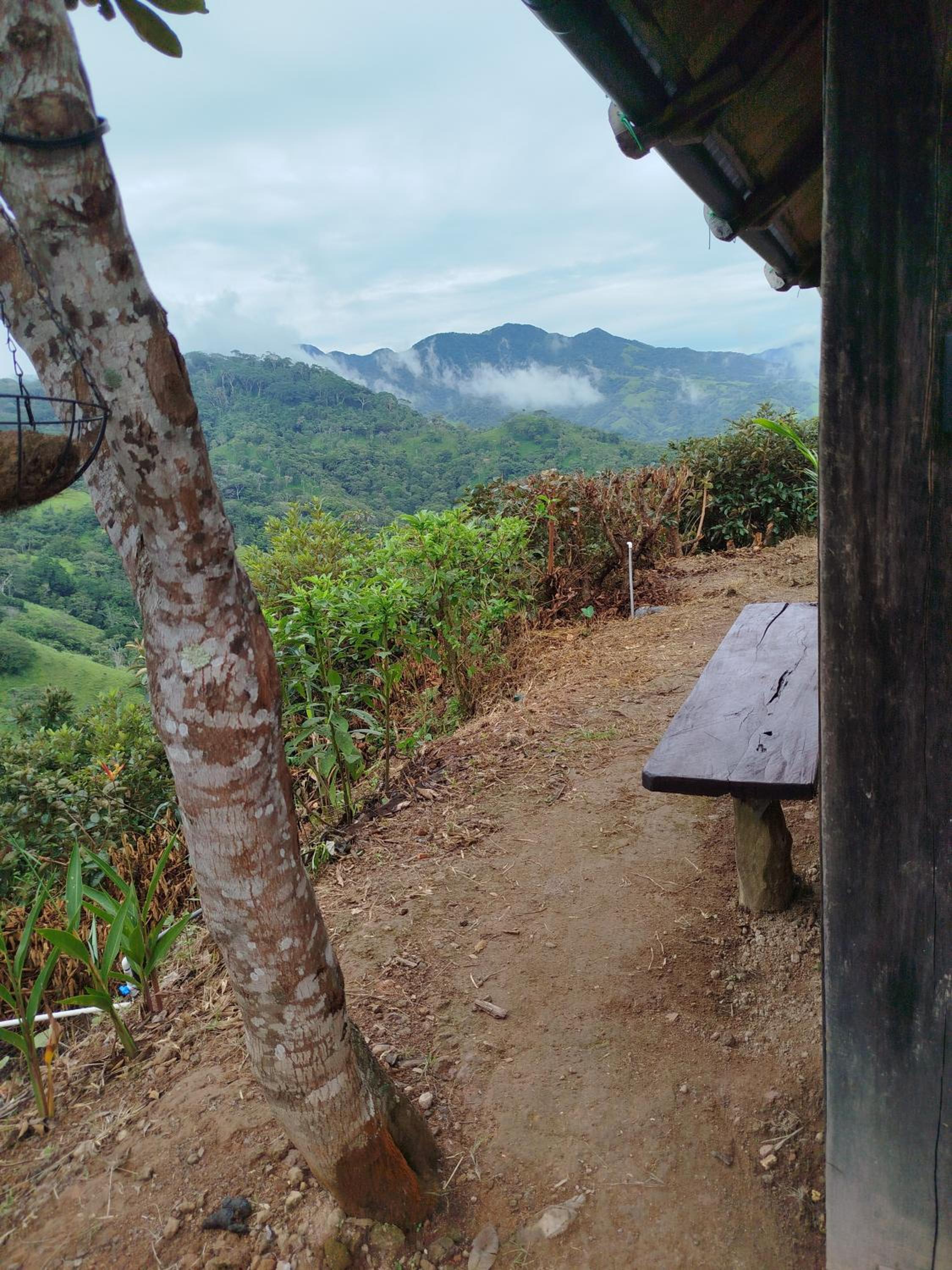 Sustainable, Off-Grid and Organic Cabins on a Farm in a Secluded Cloud Forest, Ultra Low Carbon Footprint, 4x4