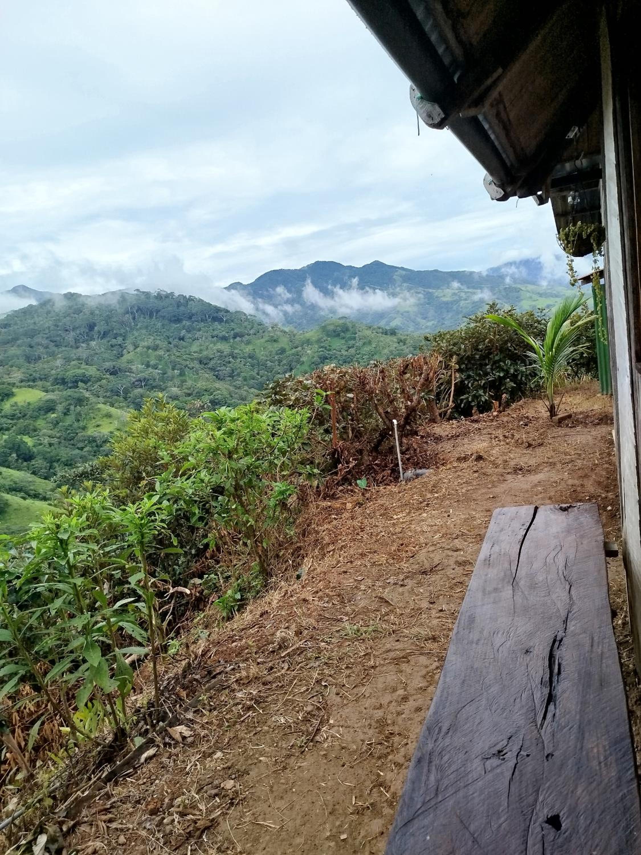 Sustainable, Off-Grid and Organic Cabins on a Farm in a Secluded Cloud Forest, Ultra Low Carbon Footprint, 4x4