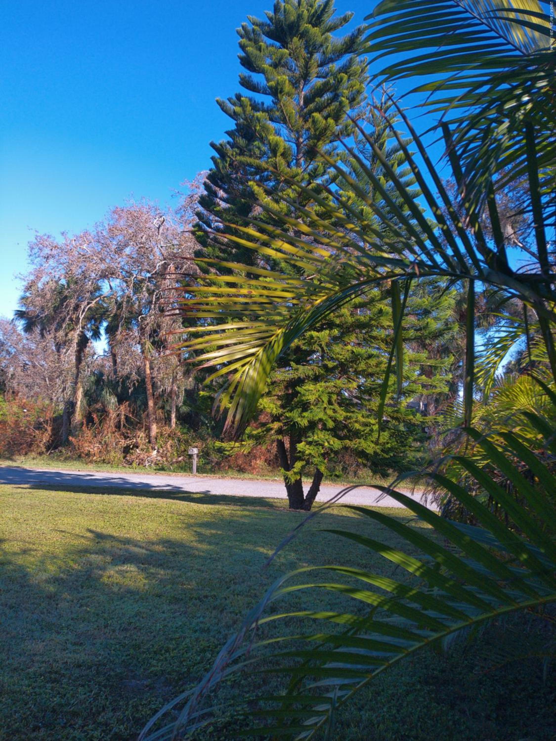 Port Charlotte Palms-Pet friendly, Heated Private Pool and Mini Orchard