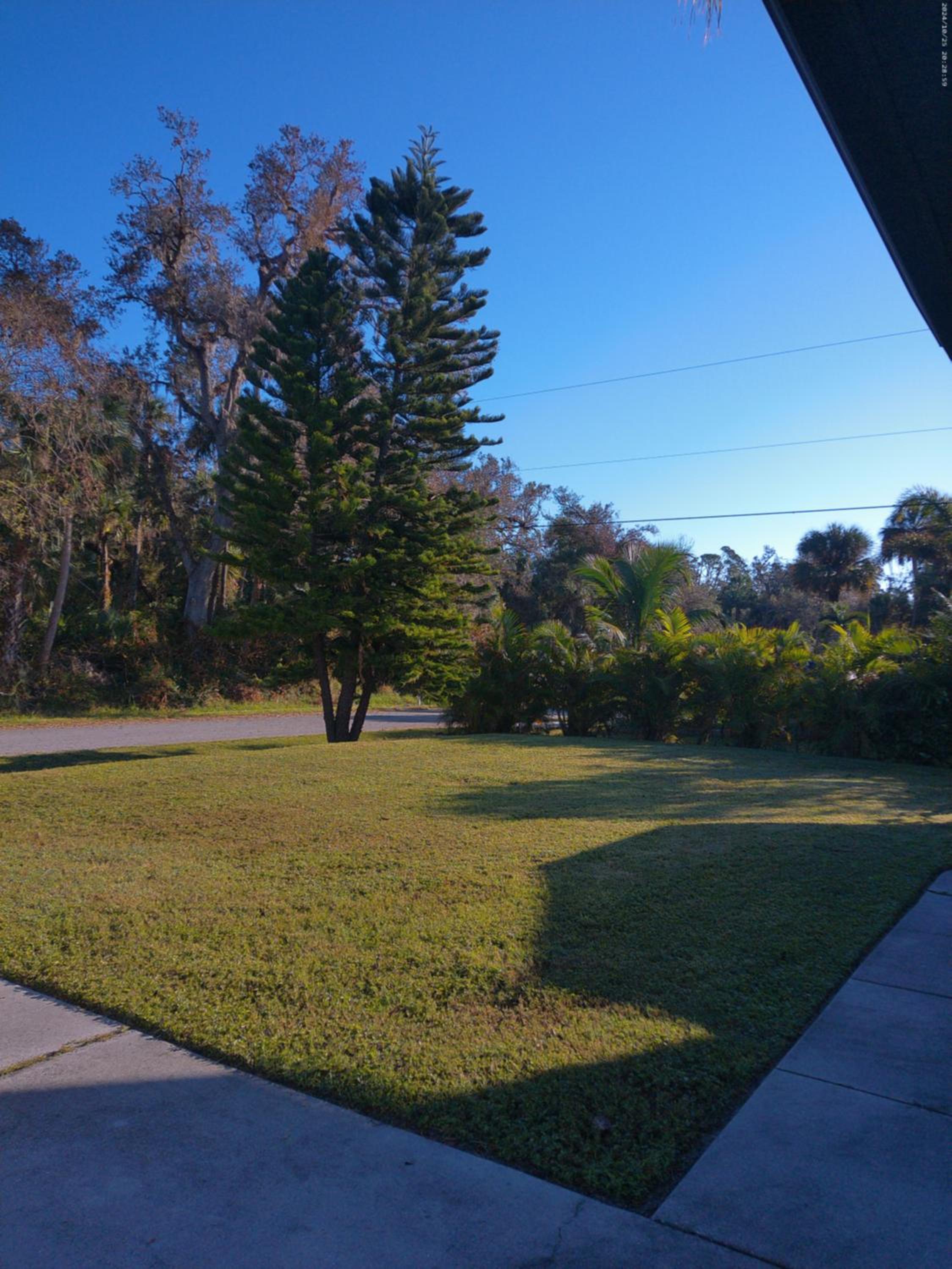 Port Charlotte Palms-Pet friendly, Heated Private Pool and Mini Orchard