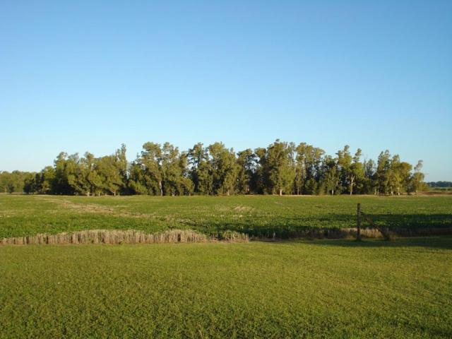 El Cielito Haus