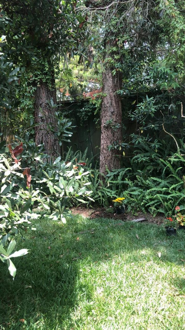 Habitación Cabaña