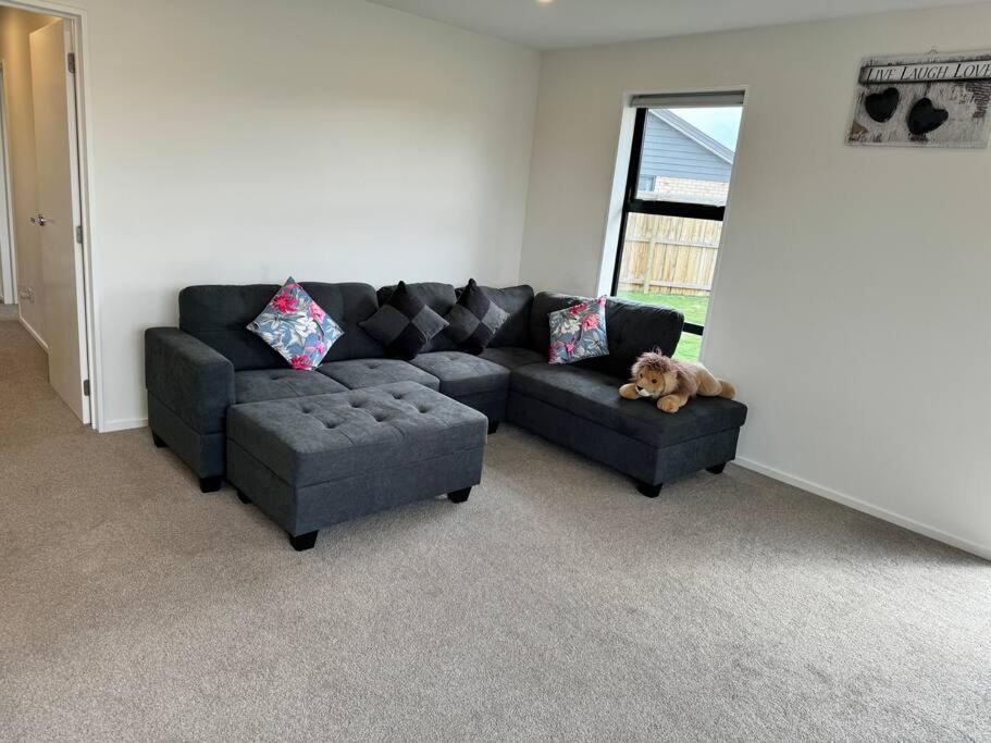 Location ,location sunny house in rolleston view 3
