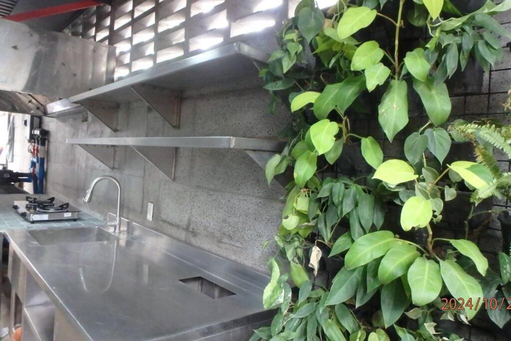 Lazy-Nest Homestay view 3