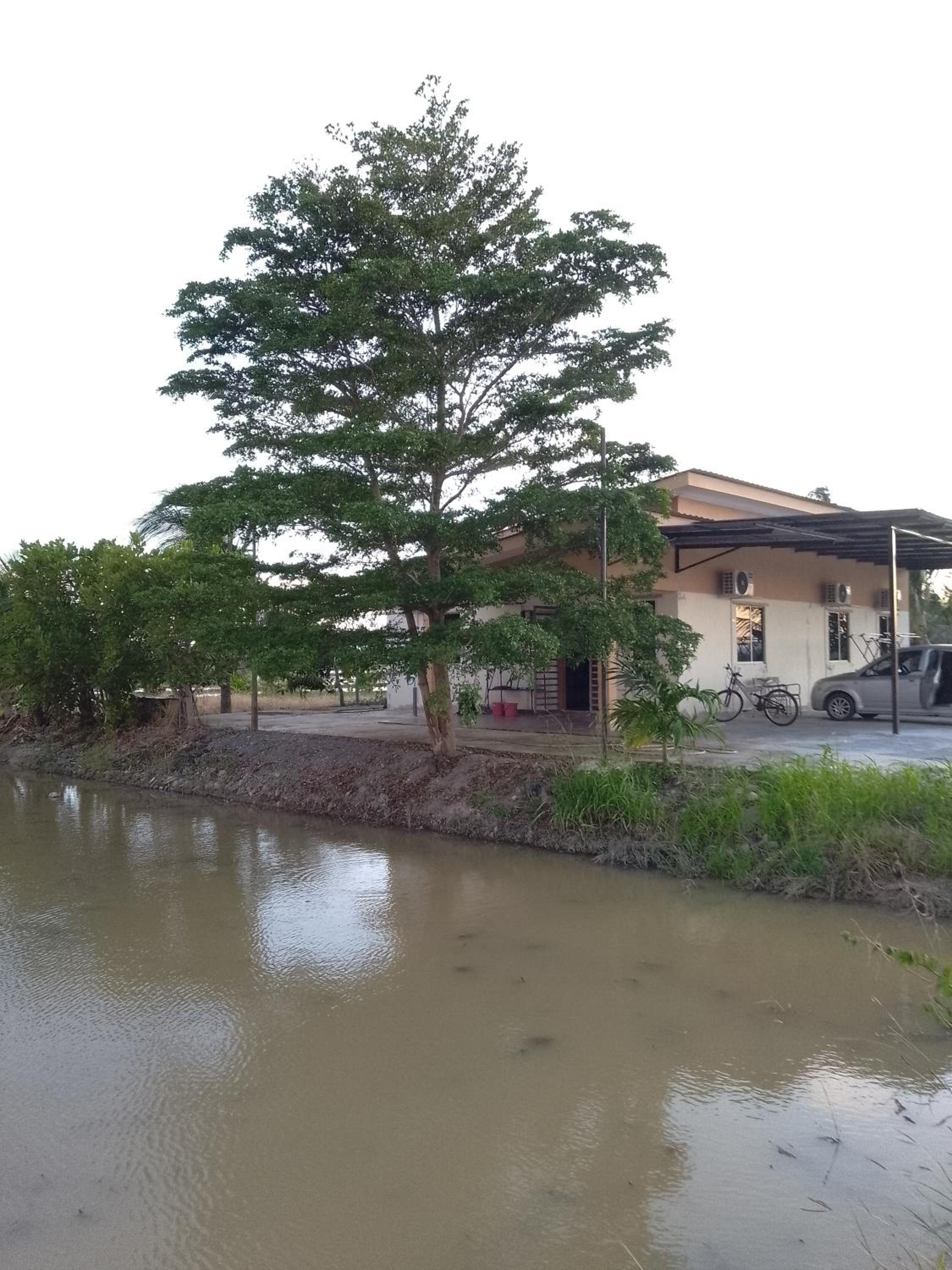Arau Pulau Hilir Home photo 1