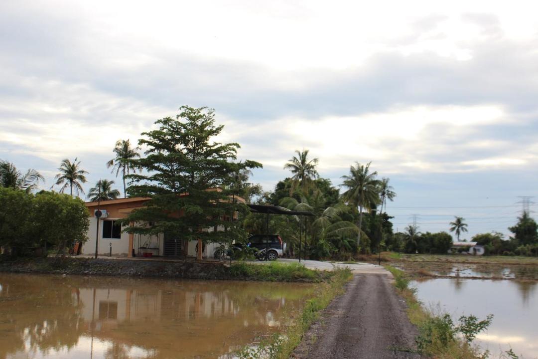 Arau Pulau Hilir Home photo 2