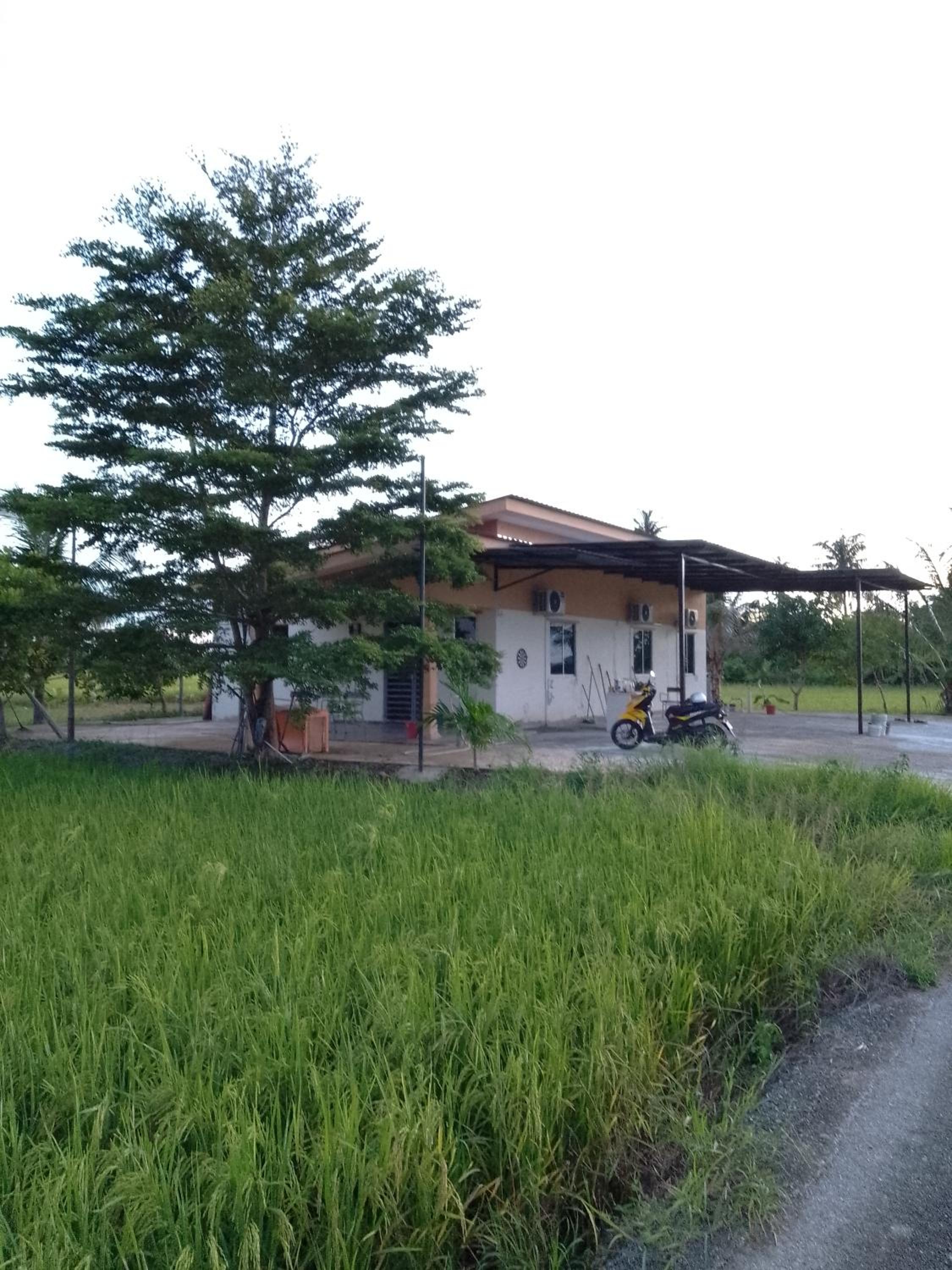 Arau Pulau Hilir Home photo 7