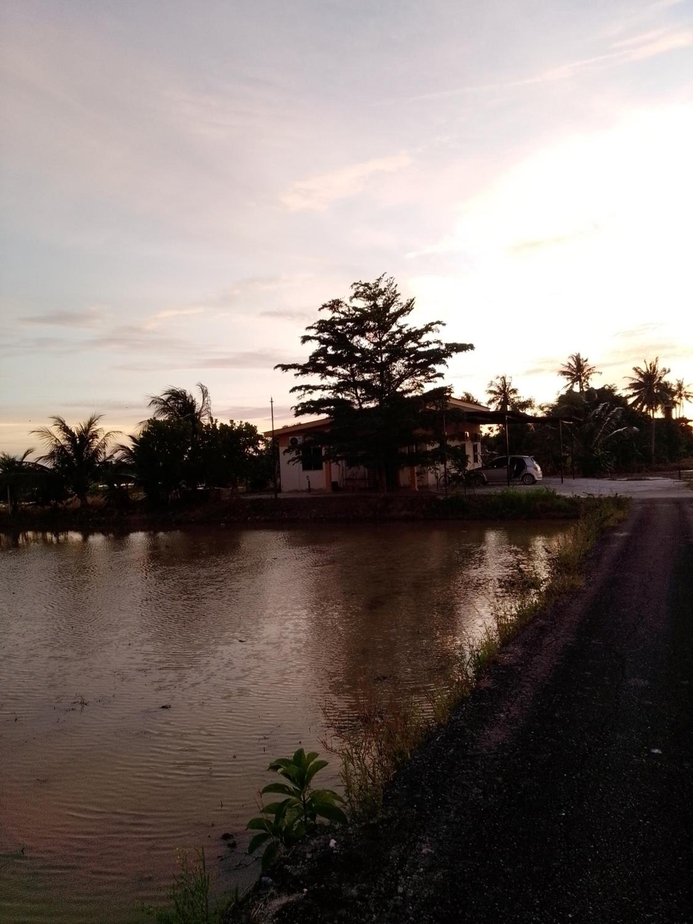 Arau Pulau Hilir Home photo 8