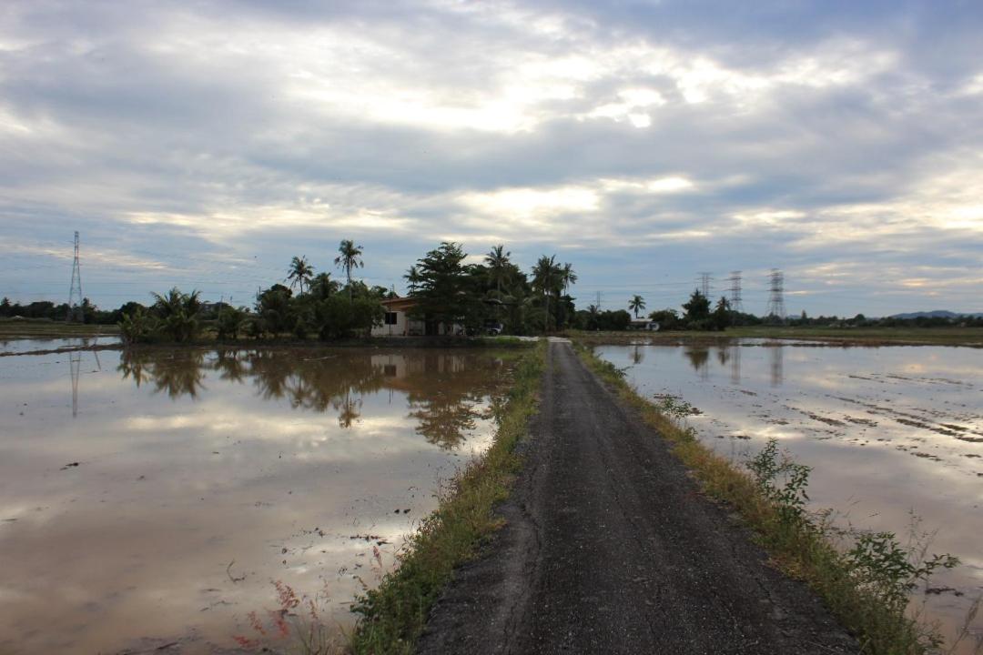 Photo 20