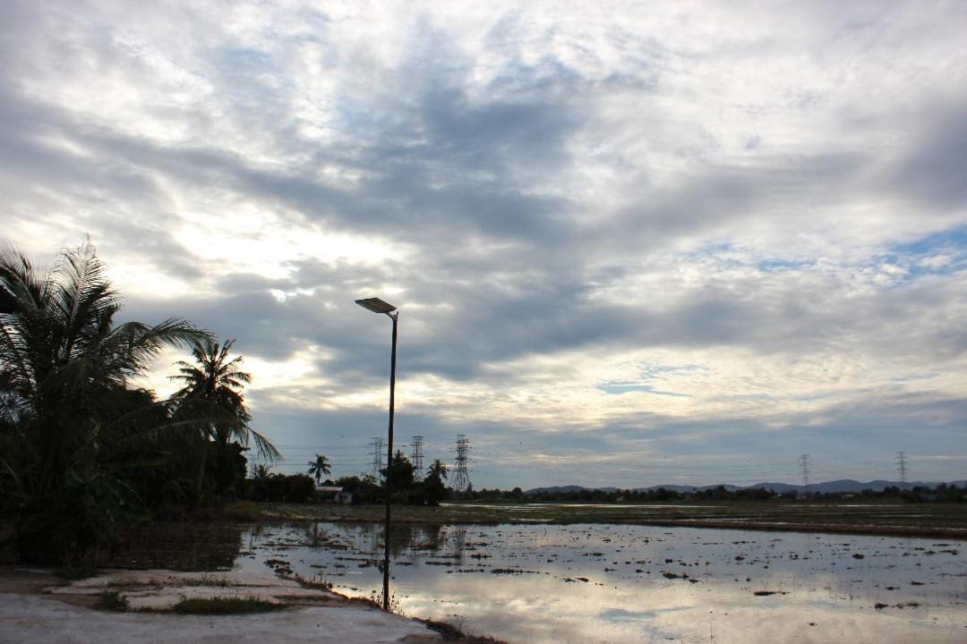 Arau Pulau Hilir Home view 2
