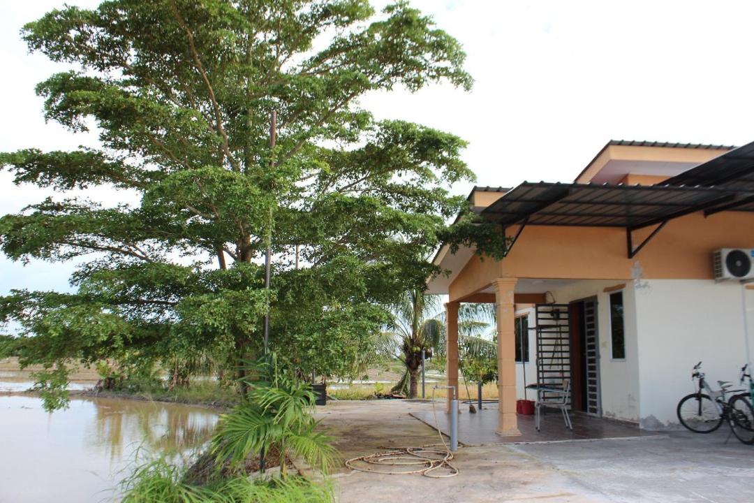 Arau Pulau Hilir Home view 3