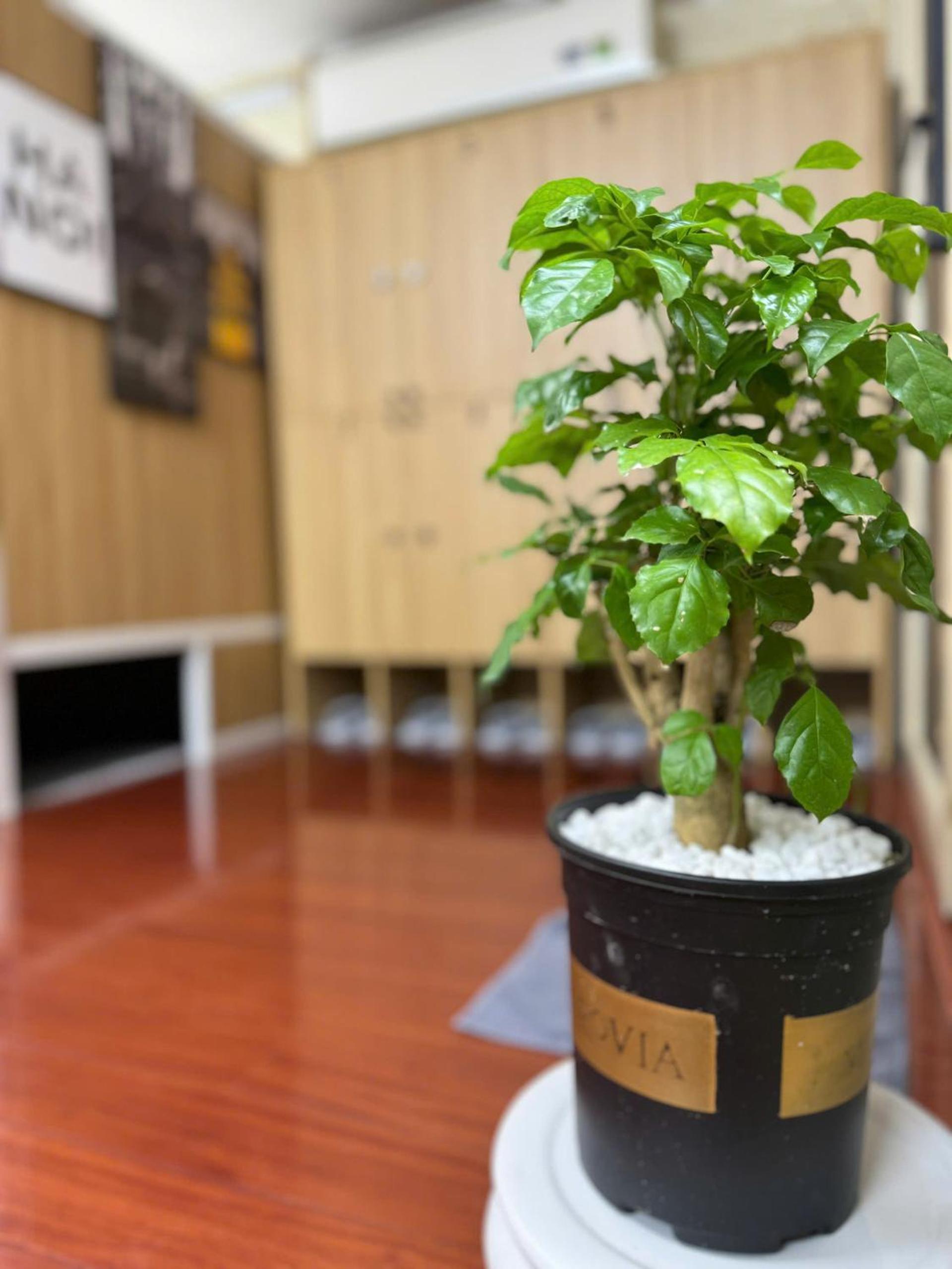 Opera Hostel