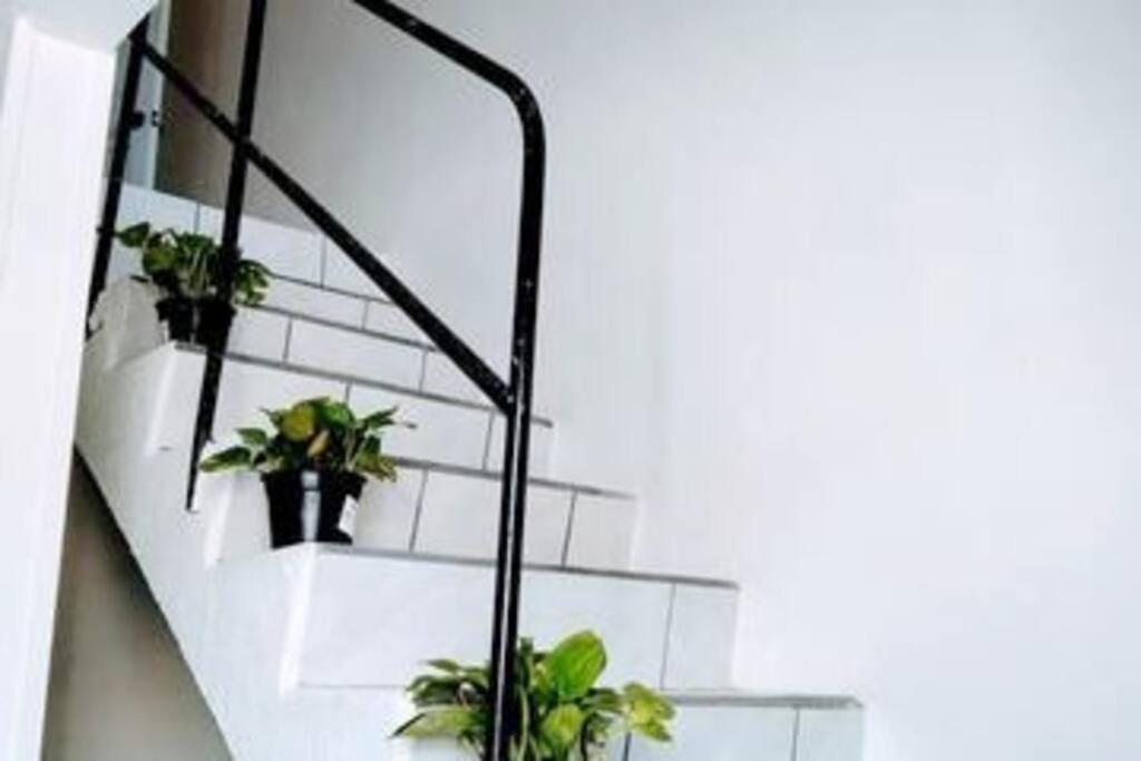 Ensenada Vacations - Mi Casita bonita, libre de humo, pet friendly - Property Image 15