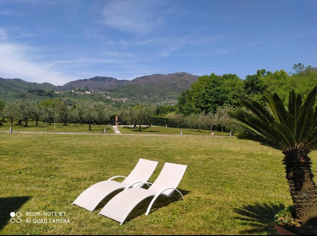 Ringo, the true Tuscany Country House