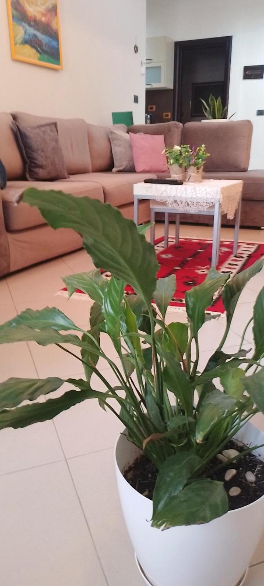 Bora Home Albania me vetshërbim 24 orë pranë Liqenit