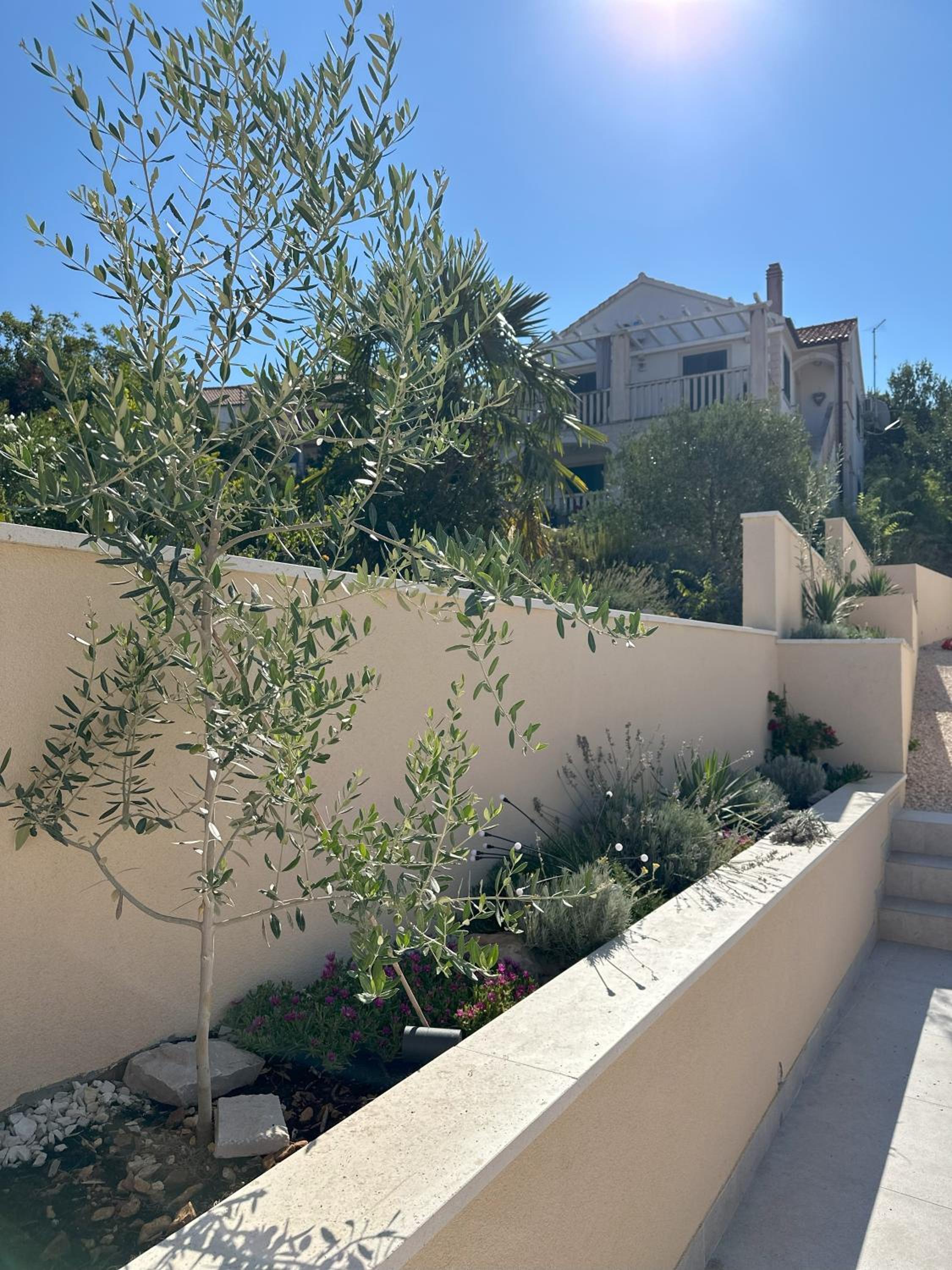 Villa Brachia