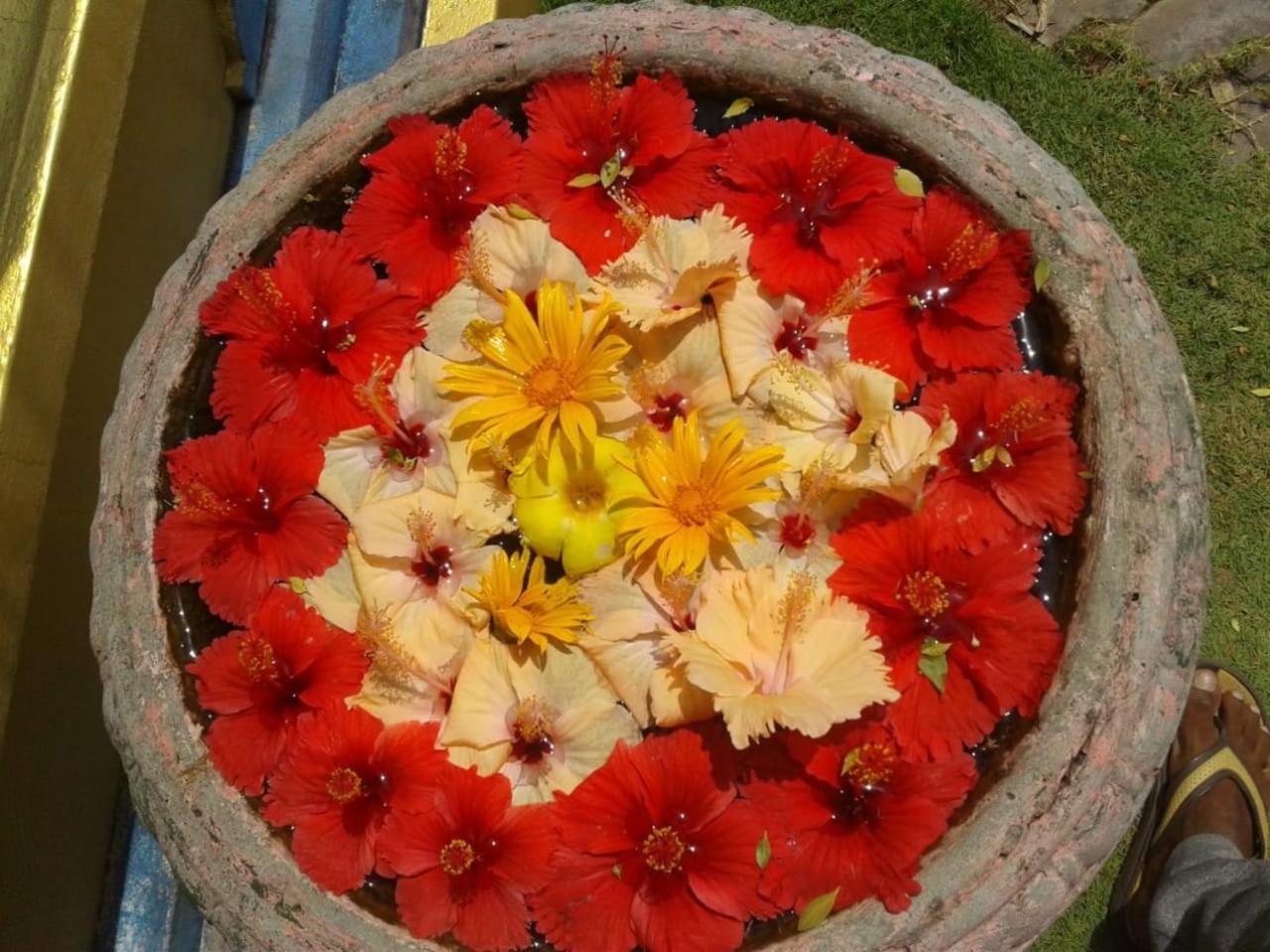 GOLDEN TEMPLE VILLA ,Nilaveli Rd, Trincomalee