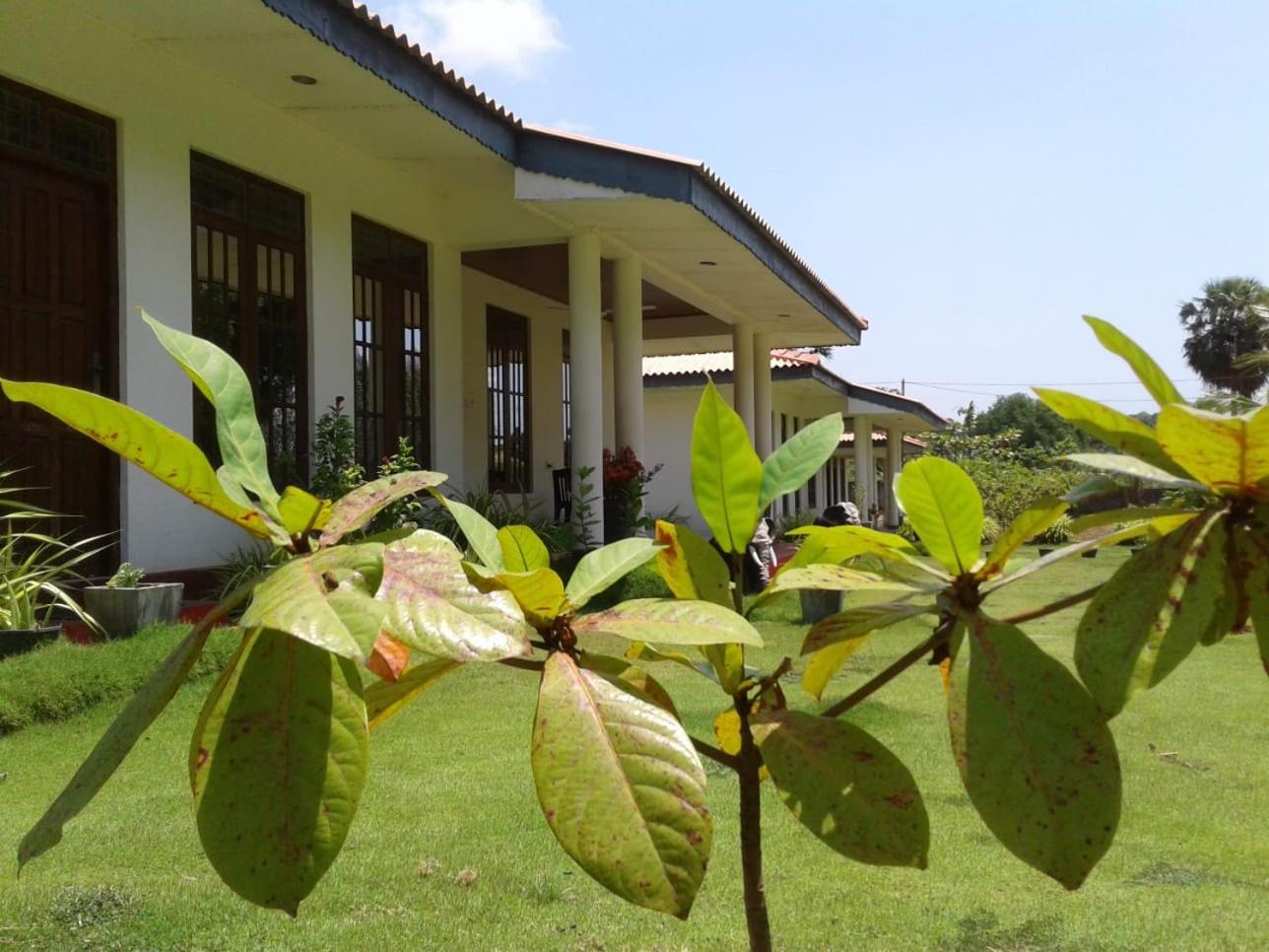 GOLDEN TEMPLE VILLA ,Nilaveli Rd, Trincomalee
