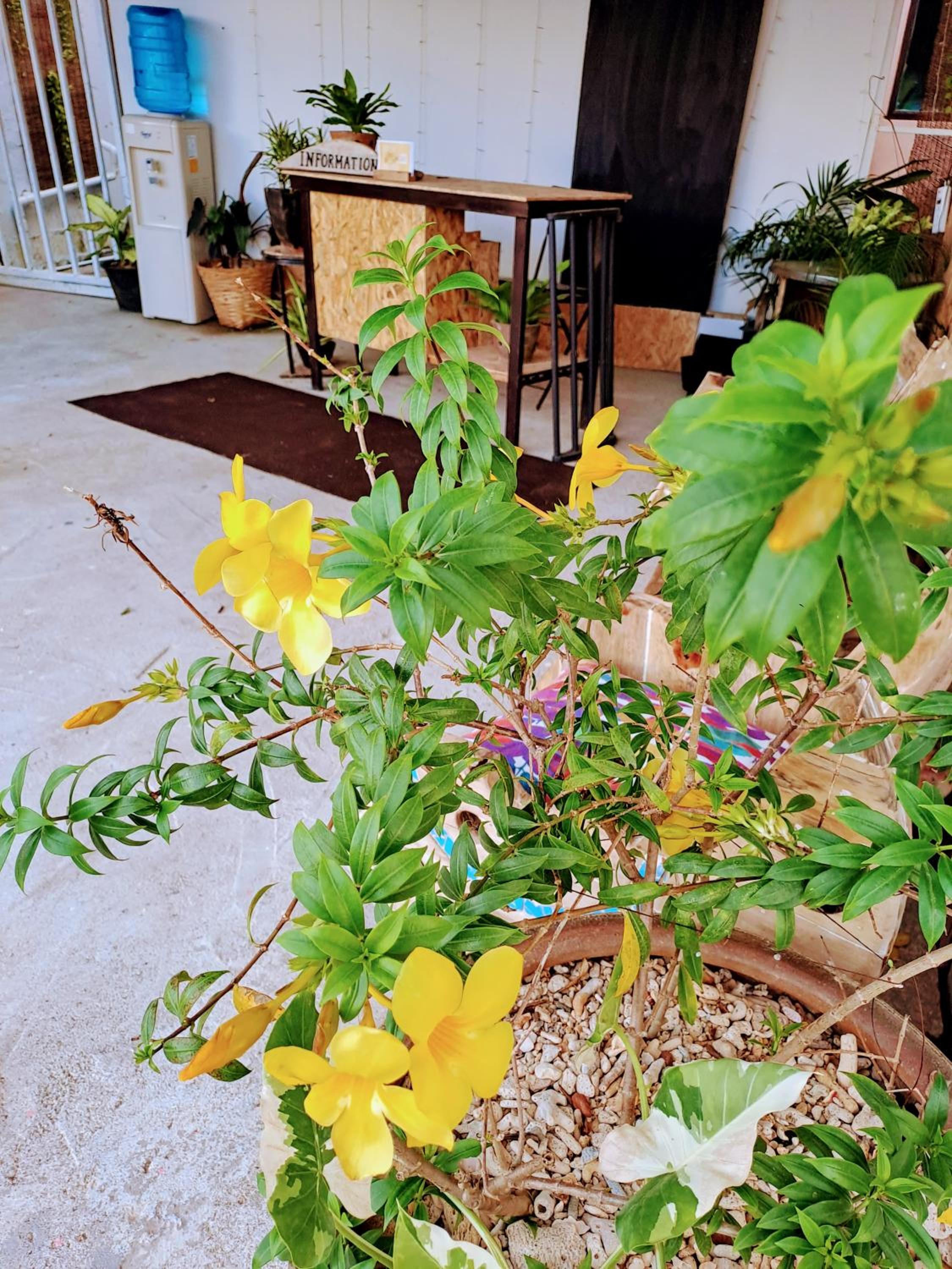 Naraya Resort