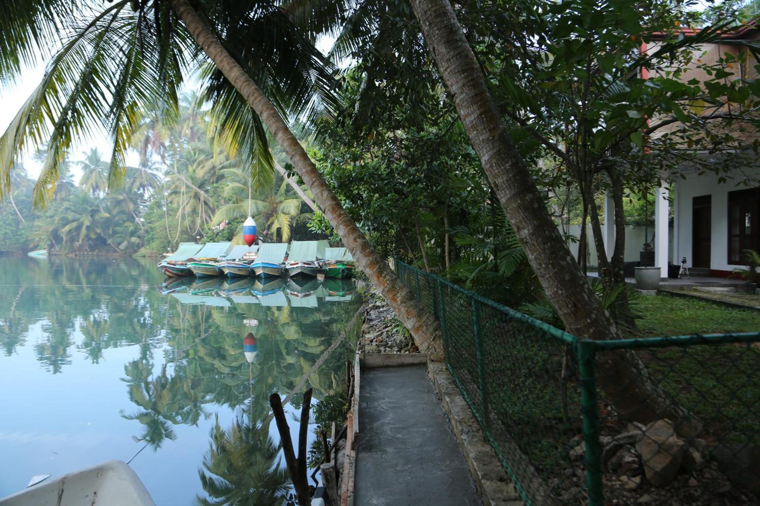 Prana Ayurveda Yoga Center view 5